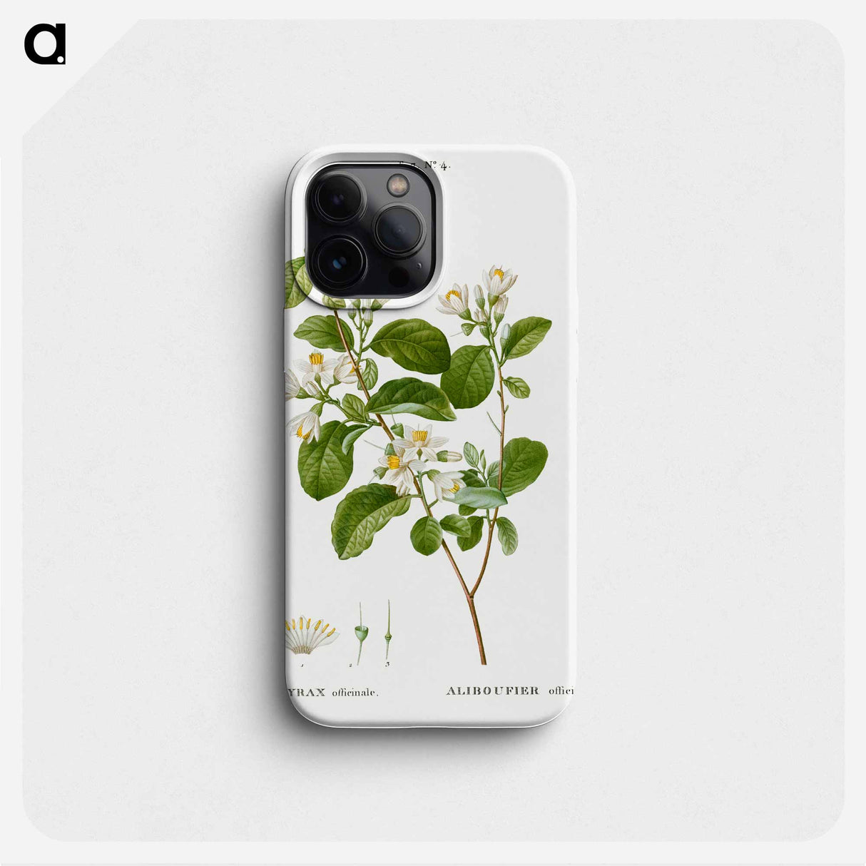 Snowdrop bush - ピエール ジョゼフ ルドゥーテ Phone Case.