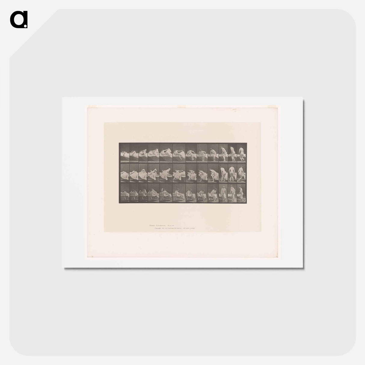 アートポストカード-Woman Emerging
- エドワード マイブリッジ Postcard.