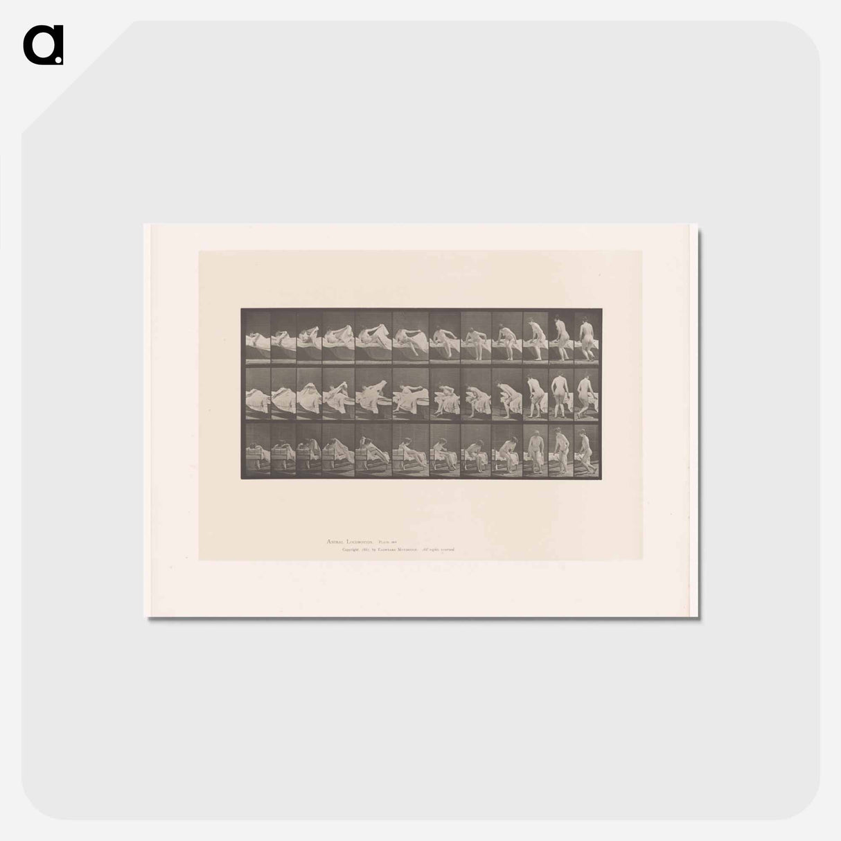 アートポストカード-Woman Emerging
- エドワード マイブリッジ Postcard.