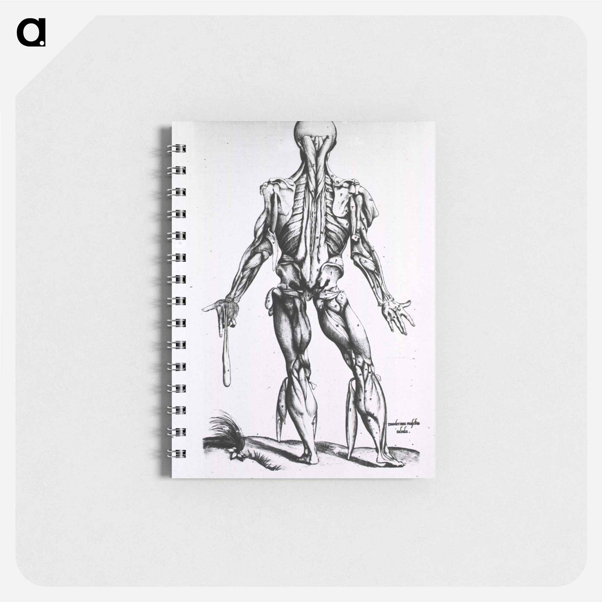 アートメモ帳-Muscles and Bones of the Human Body
- 国立医学図書館 Memo.