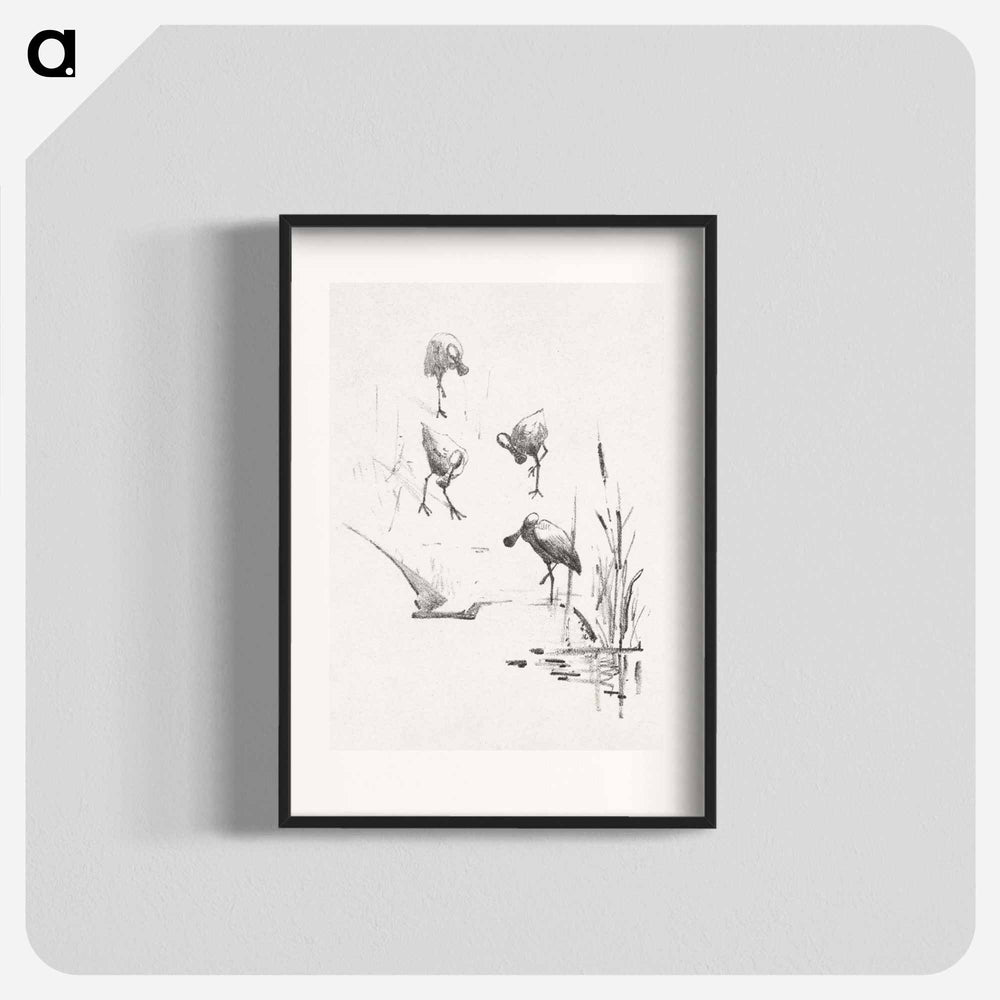 Wenskaart met vier lepelaars - Theo van Hoytema Poster.