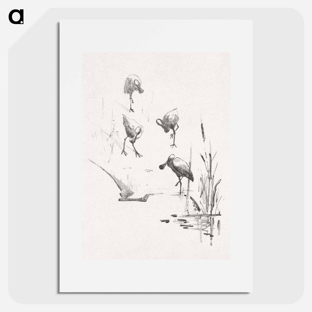 Wenskaart met vier lepelaars - Theo van Hoytema Poster.