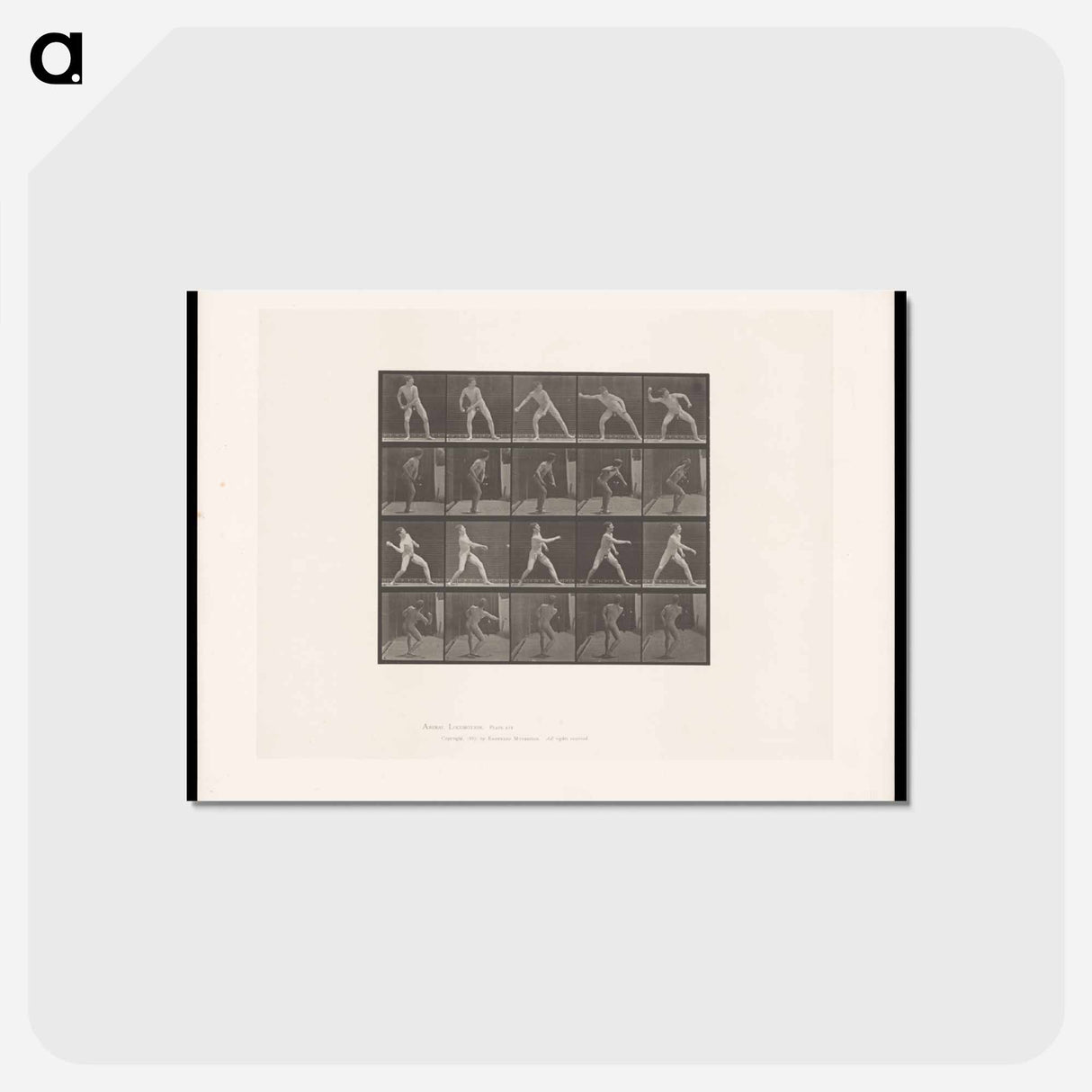 アートポストカード-Man Throwing Ball
- エドワード マイブリッジ Postcard.