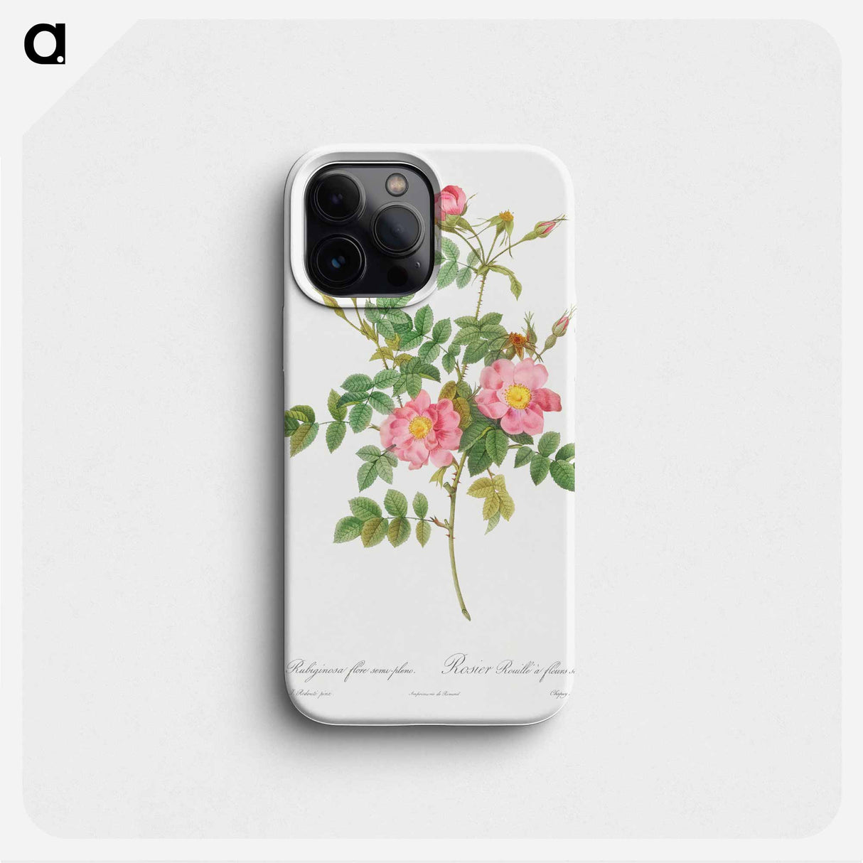 Semi-Double Sweet Briar - ピエール ジョゼフ ルドゥーテ Phone Case.