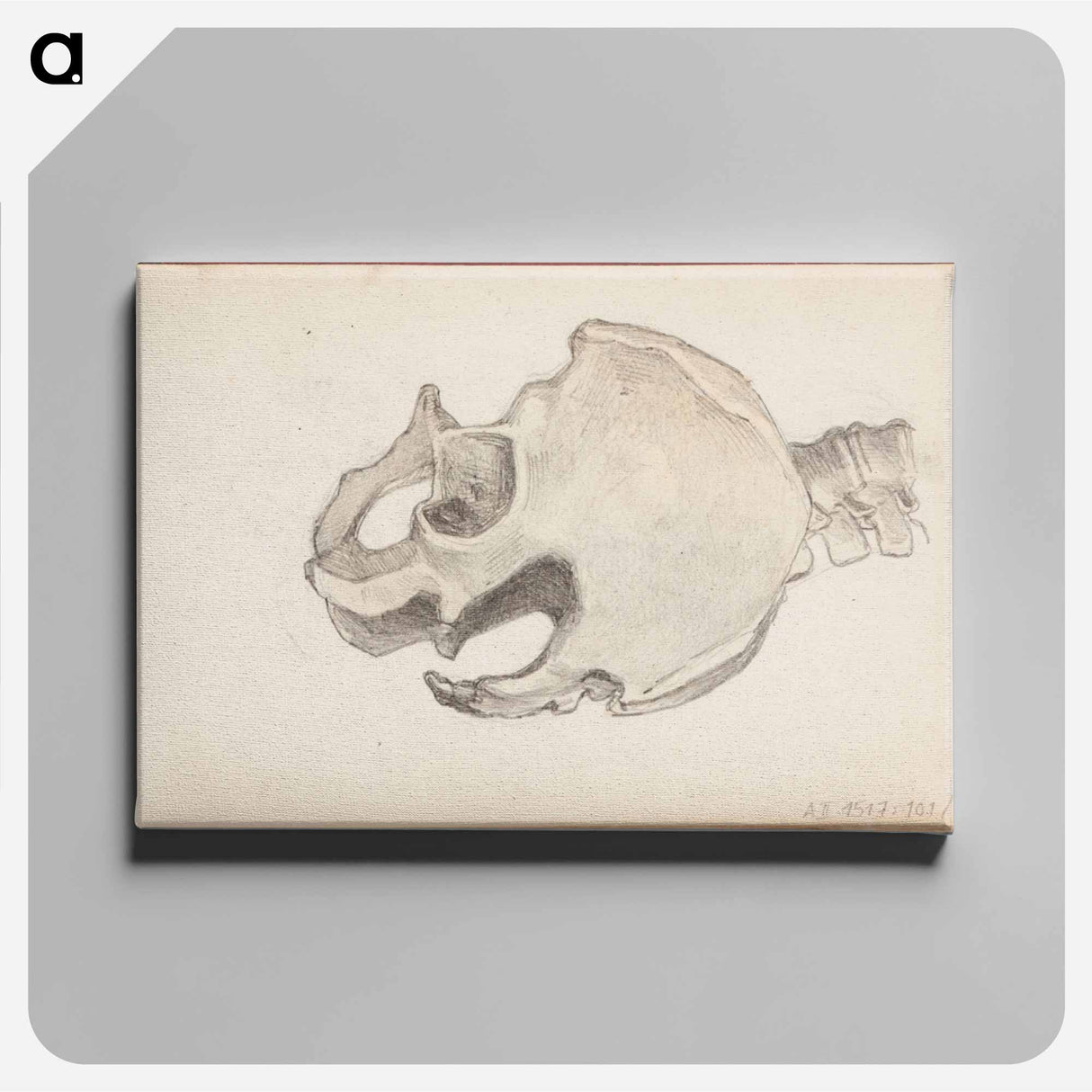 (unknown) part of a sketchbook - アルバート エーデルフェルト Canvas.