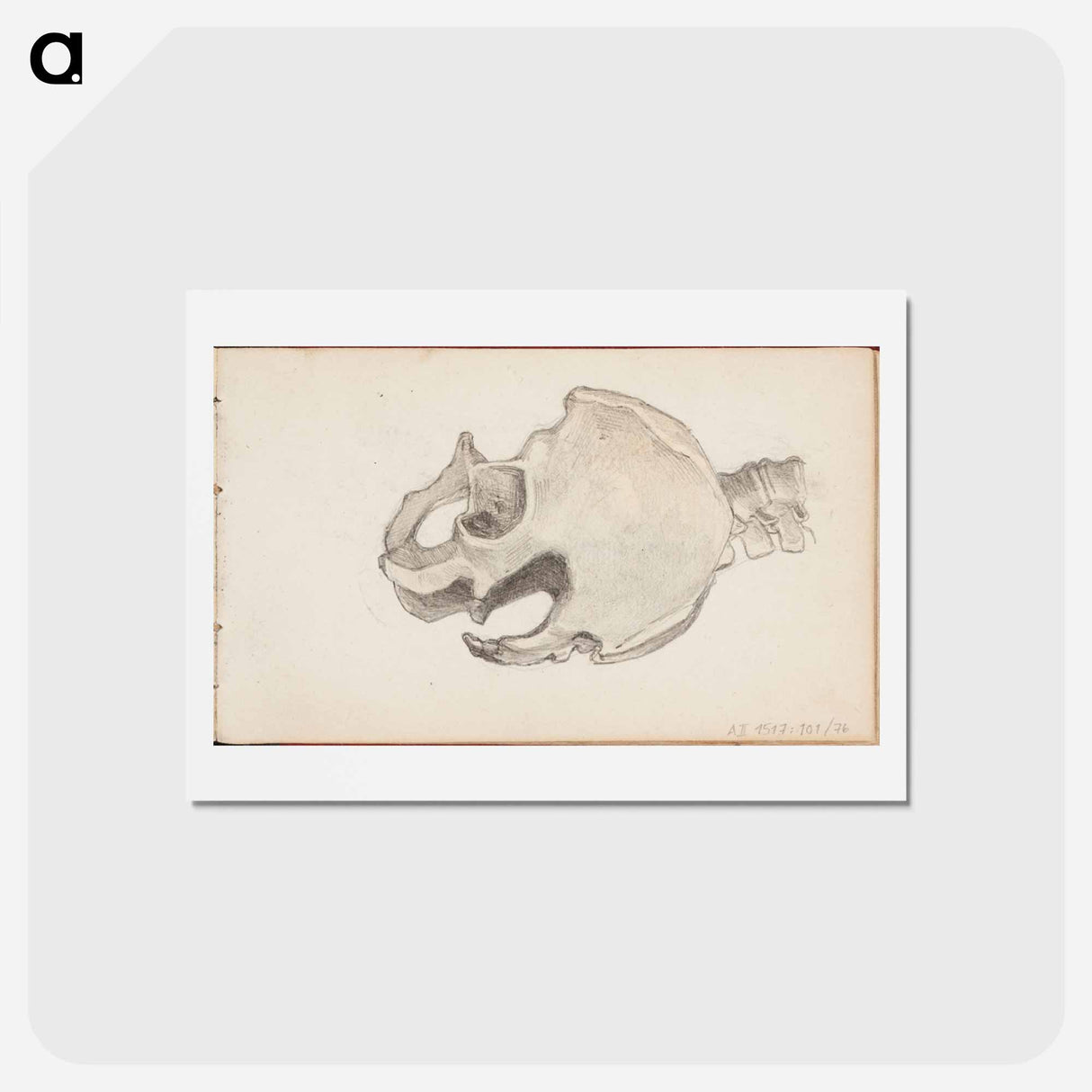 アートポストカード-(unknown) part of a sketchbook - アルバート エーデルフェルト Postcard.