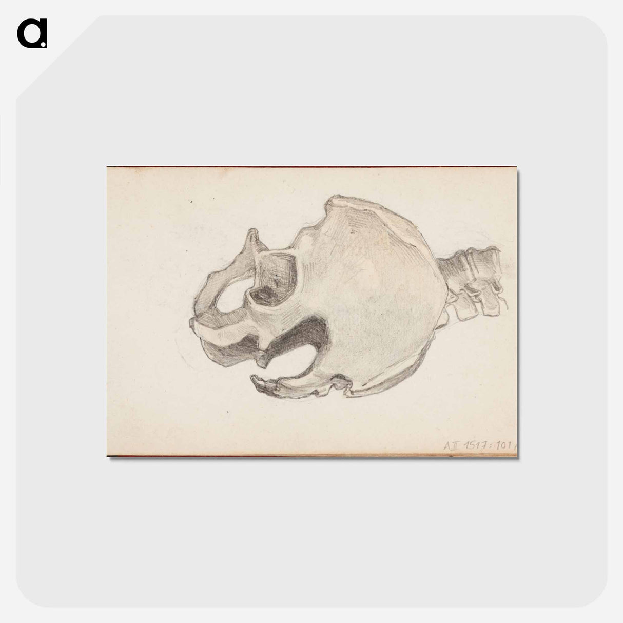 アートポストカード-(unknown) part of a sketchbook - アルバート エーデルフェルト Postcard.