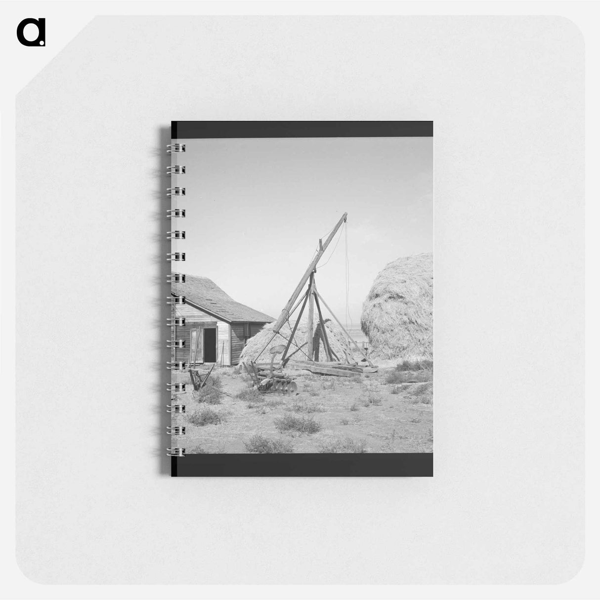 Untitled photo - ドロテア ラング Memo.