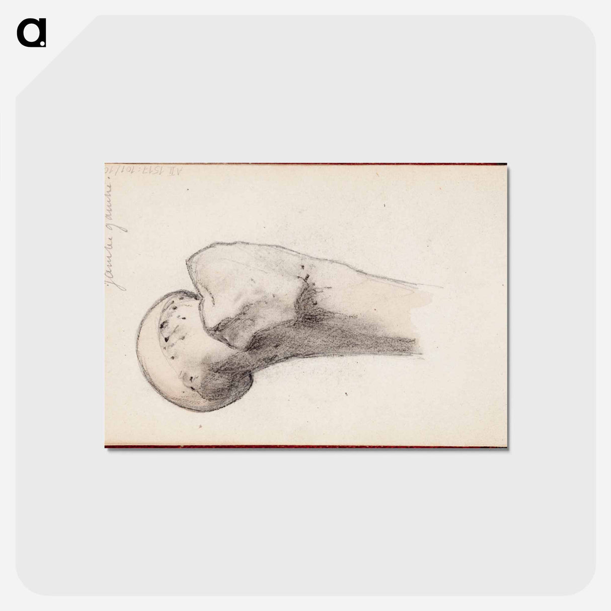 アートポストカード-(unknown) part of a sketchbook - アルバート エーデルフェルト Postcard.