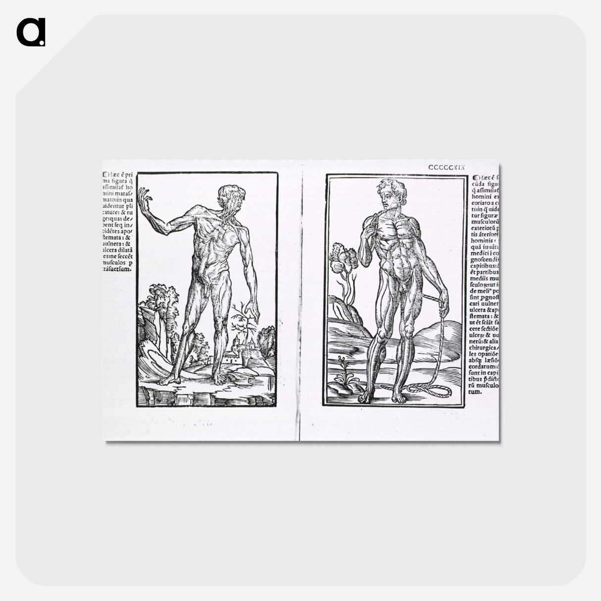 アートポストカード-Muscle Plates
- 国立医学図書館 Postcard.