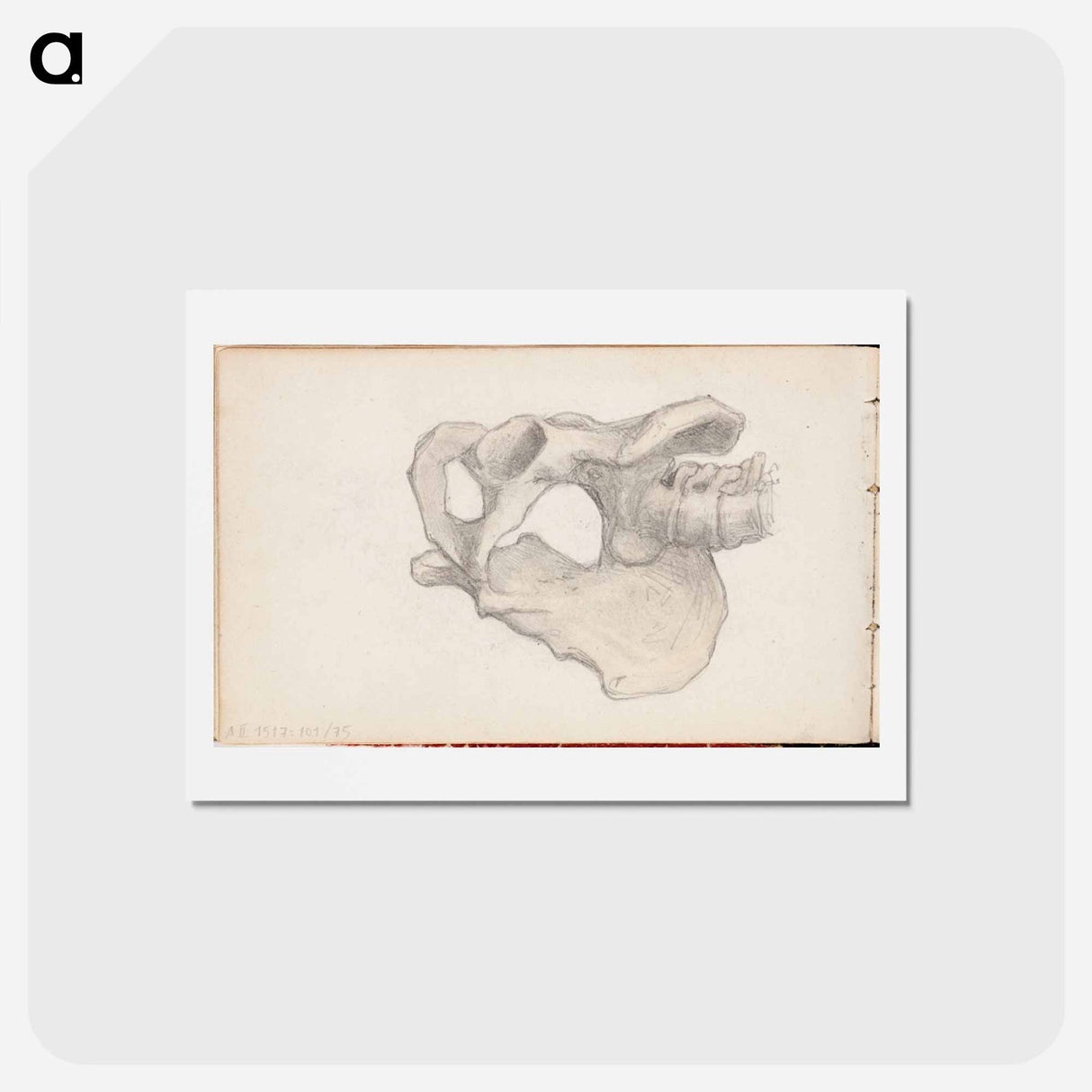 アートポストカード-(unknown) part of a sketchbook - アルバート エーデルフェルト Postcard.