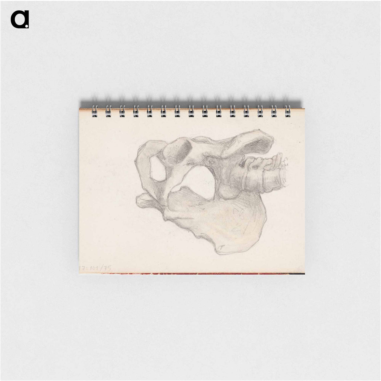 (unknown) part of a sketchbook - アルバート エーデルフェルト Memo.