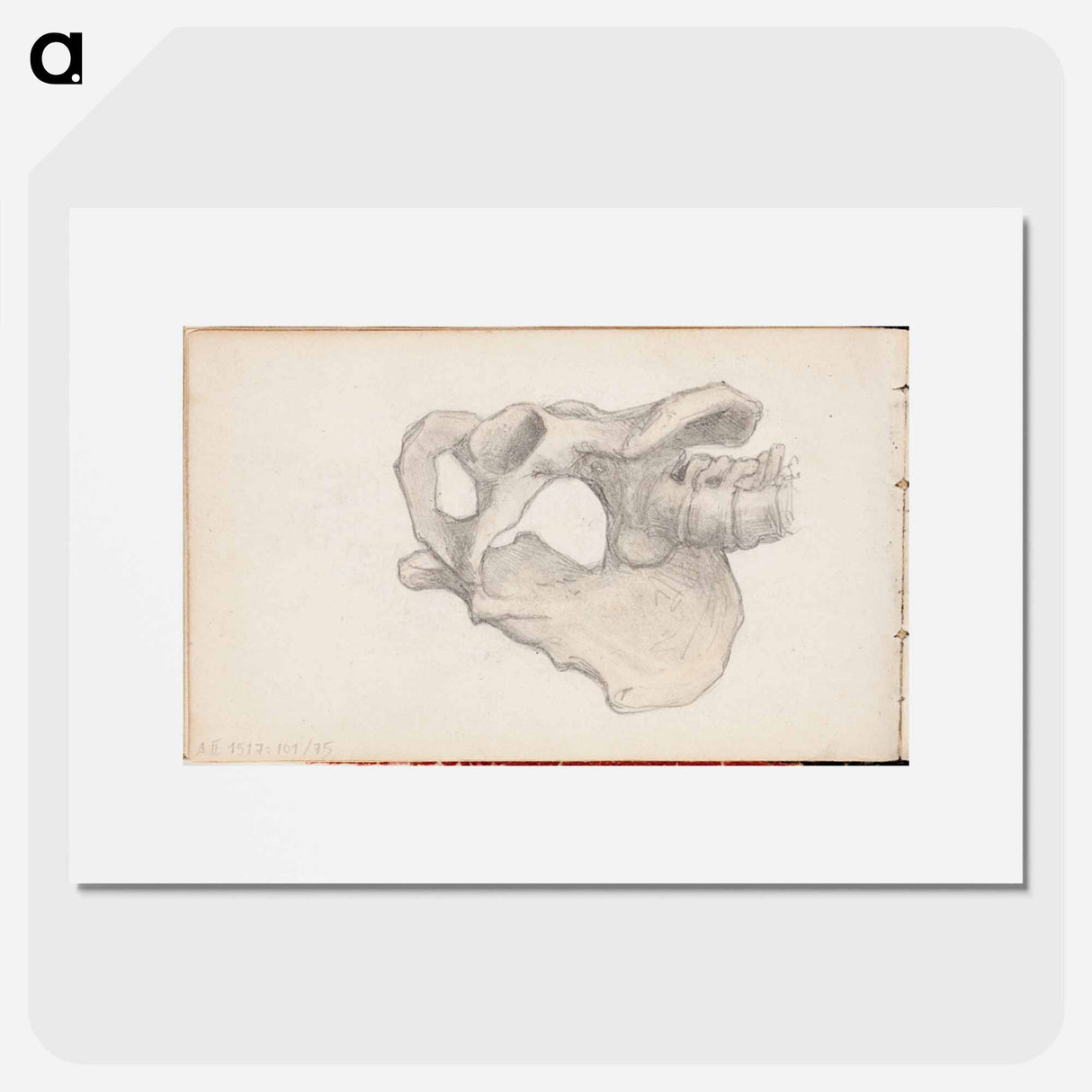 (unknown) part of a sketchbook - アルバート エーデルフェルト Poster.