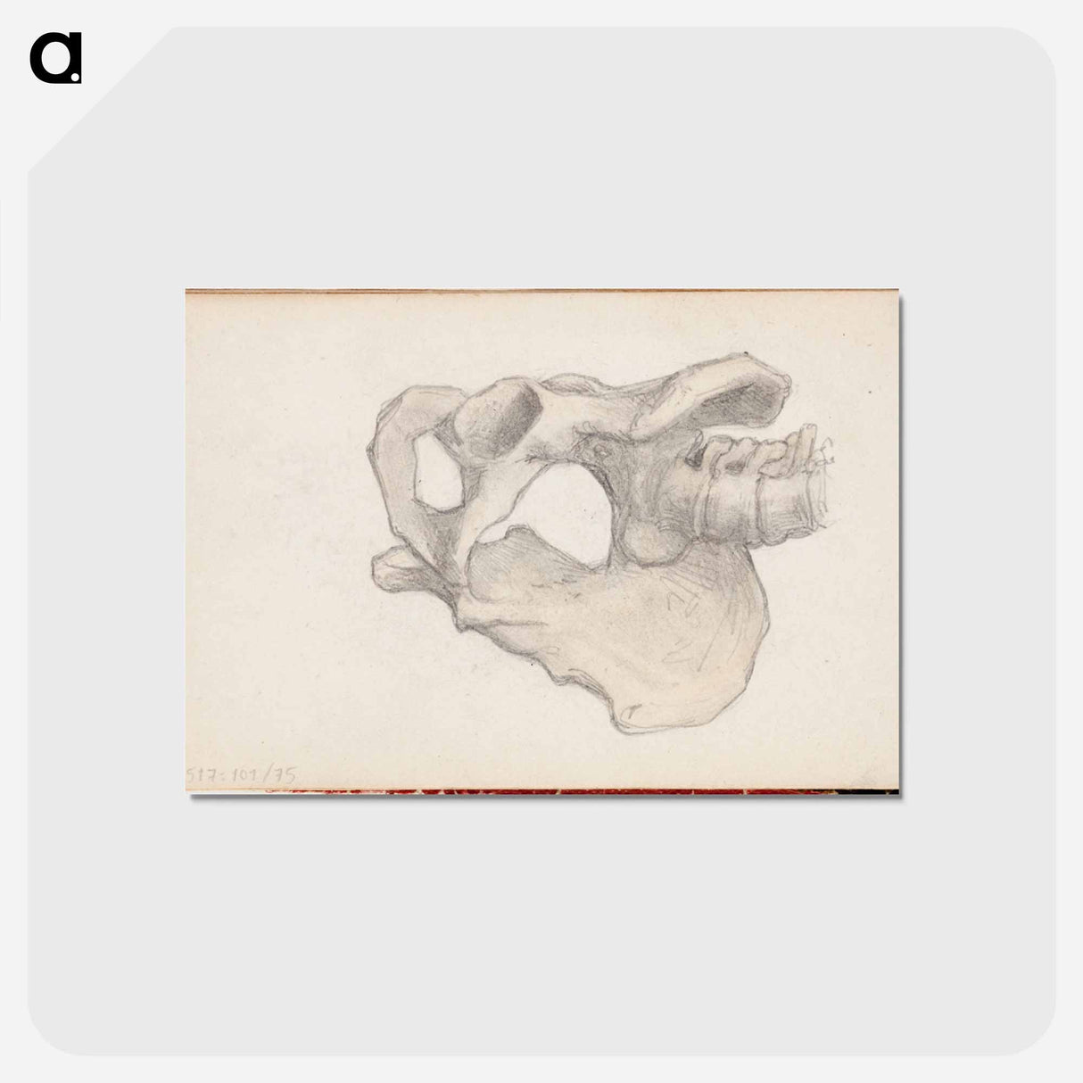 アートポストカード-(unknown) part of a sketchbook - アルバート エーデルフェルト Postcard.