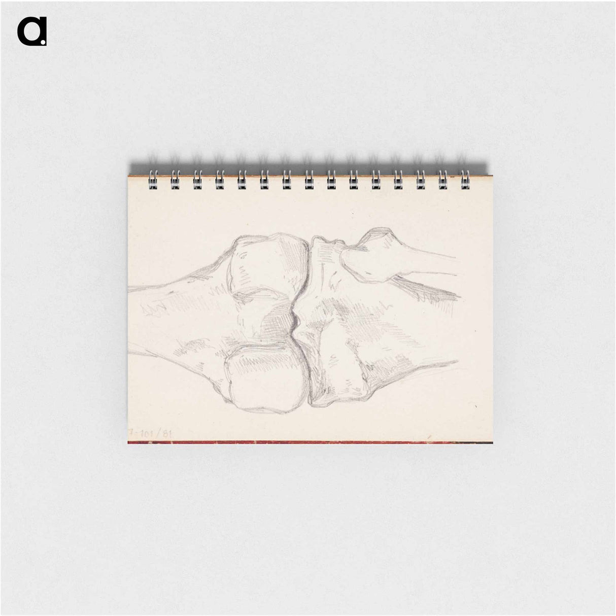 アートメモ帳-(unknown) part of a sketchbook - アルバート エーデルフェルト Memo.