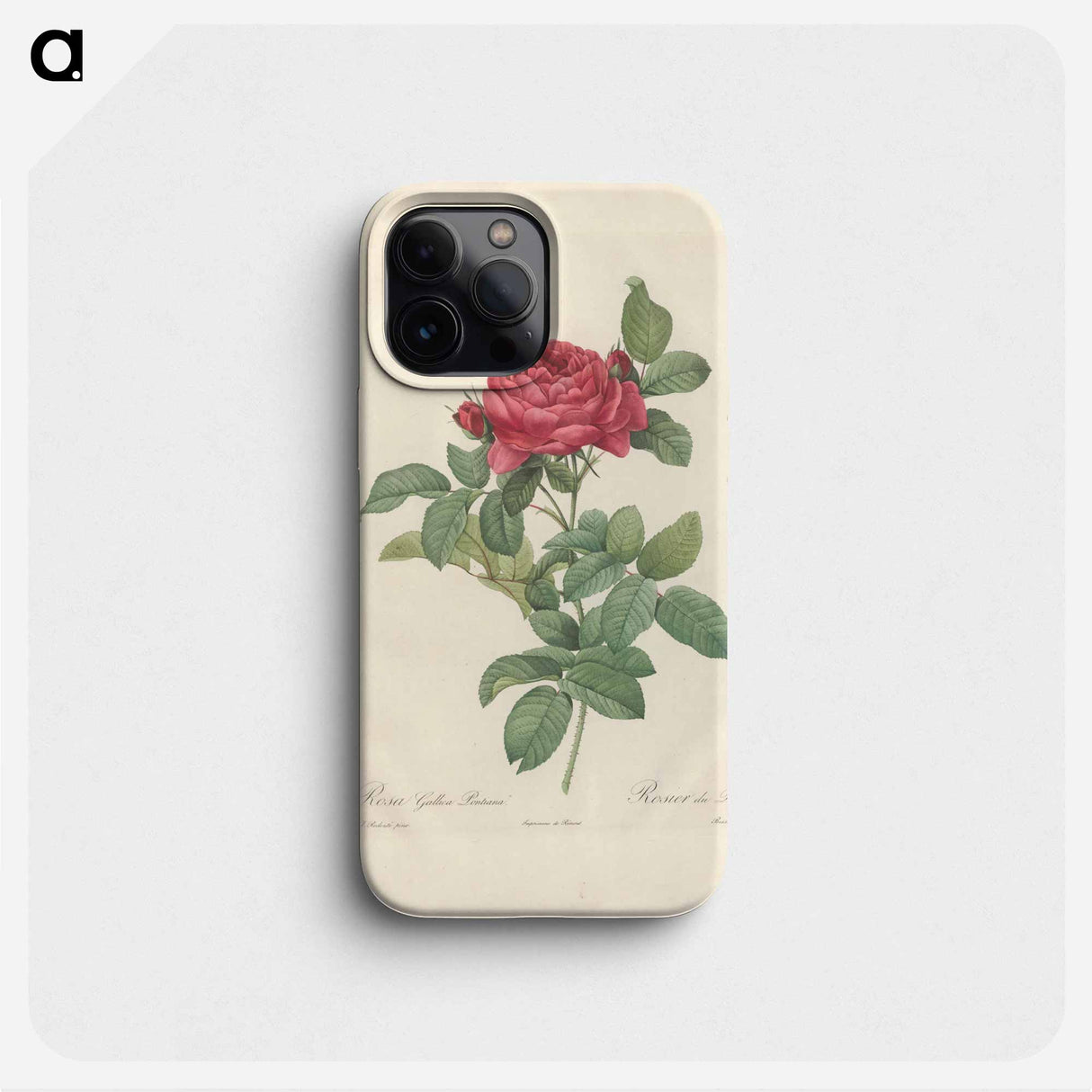 Rose illustration - ピエール ジョゼフ ルドゥーテ Phone Case.