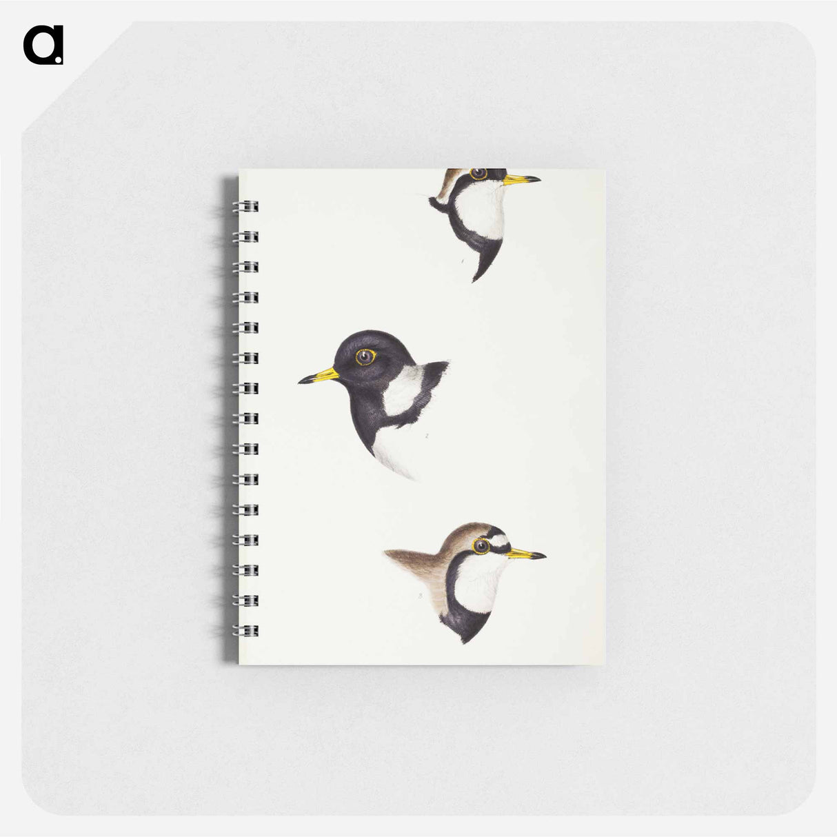 アートメモ帳-Australian Plovers
- ジョン グールド Memo.