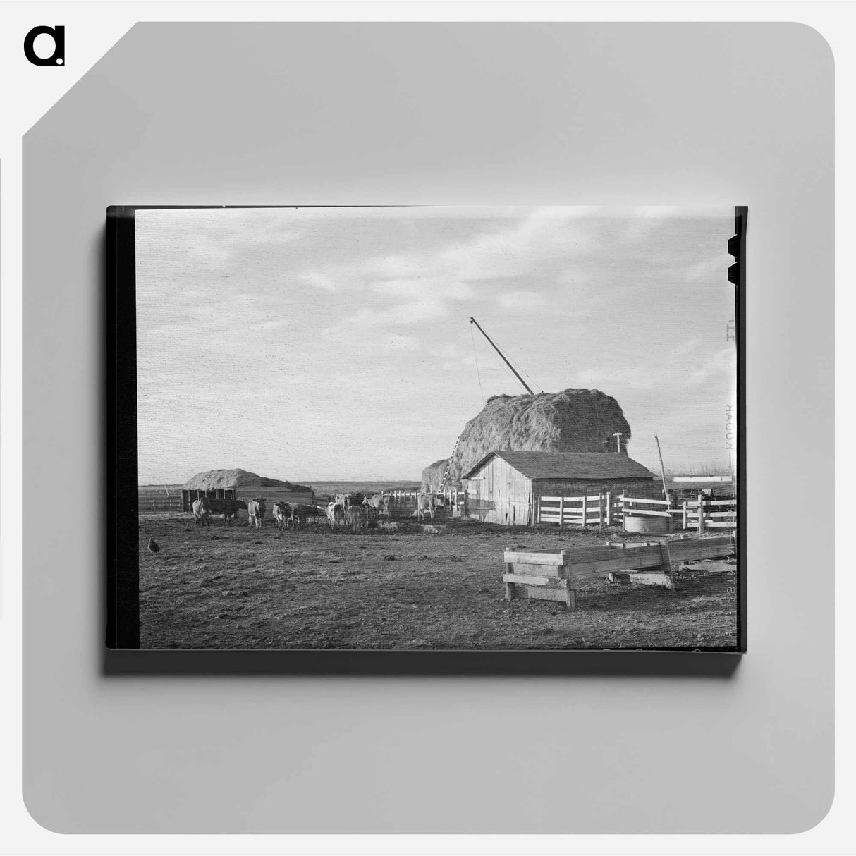 アートパネル-FSA Exhibit, Dallas
- ラッセル リー Canvas.