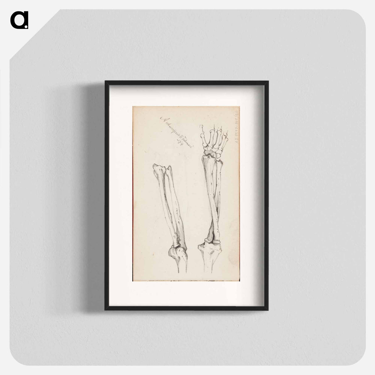 (unknown) part of a sketchbook - アルバート エーデルフェルト Poster.