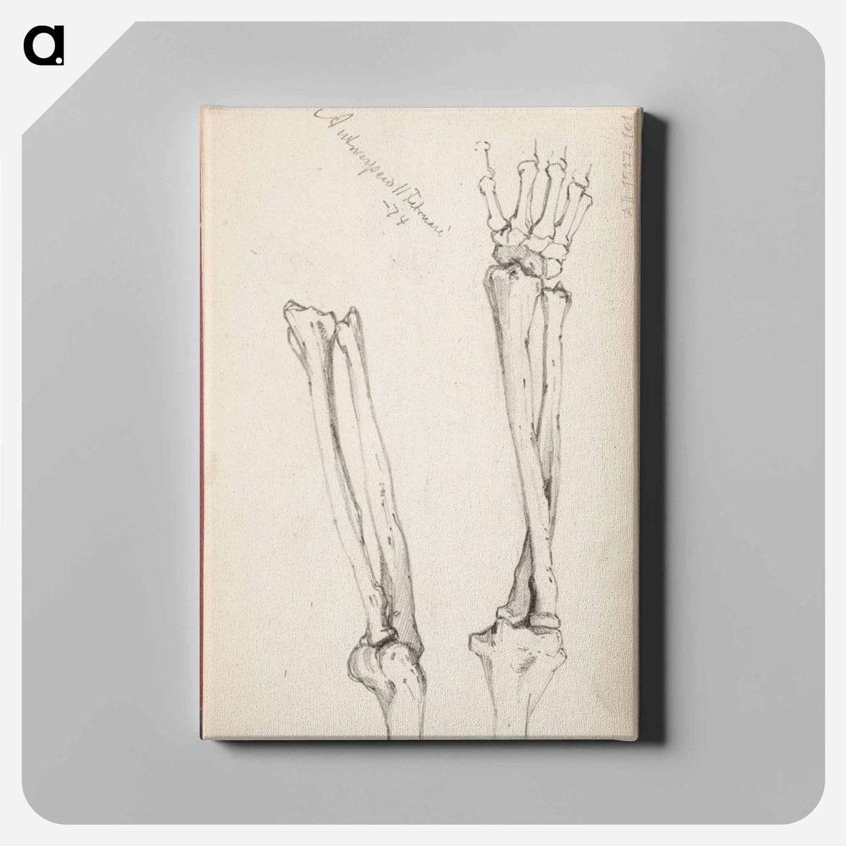 (unknown) part of a sketchbook - アルバート エーデルフェルト Canvas.