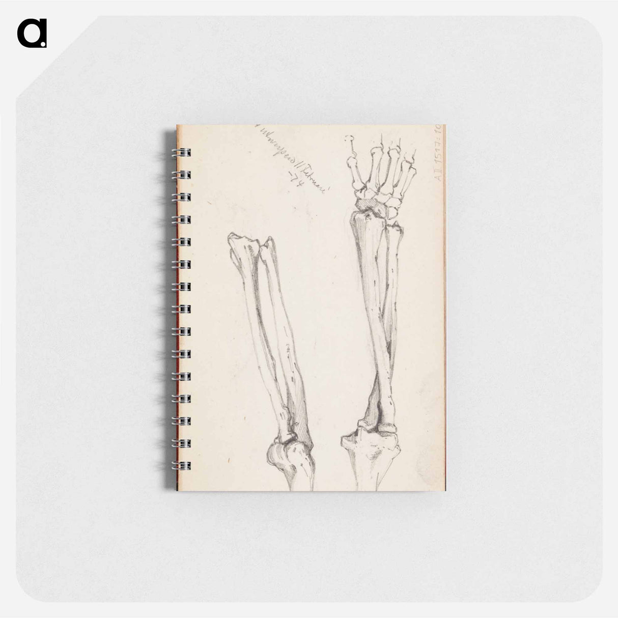 (unknown) part of a sketchbook - アルバート エーデルフェルト Memo.