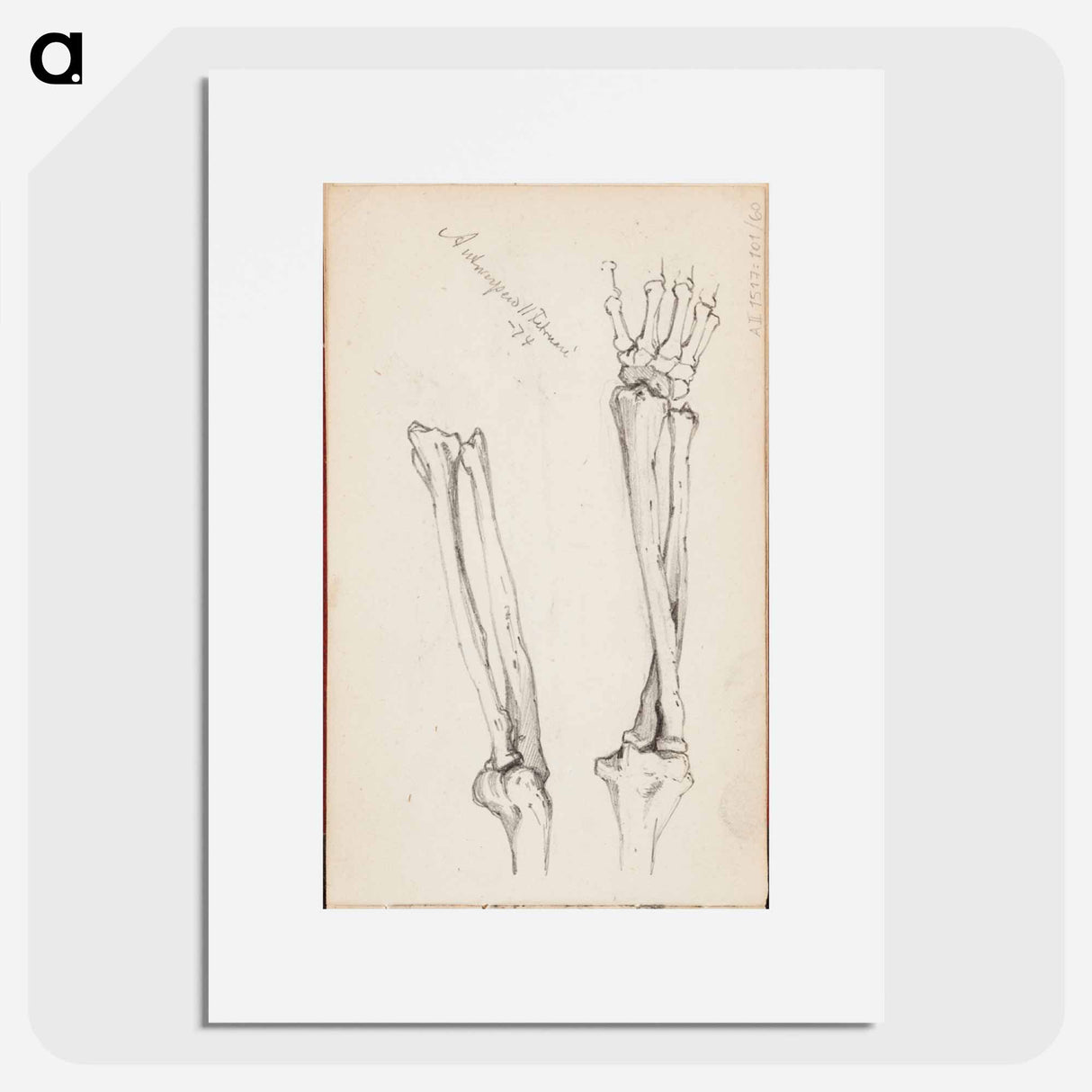 (unknown) part of a sketchbook - アルバート エーデルフェルト Poster.