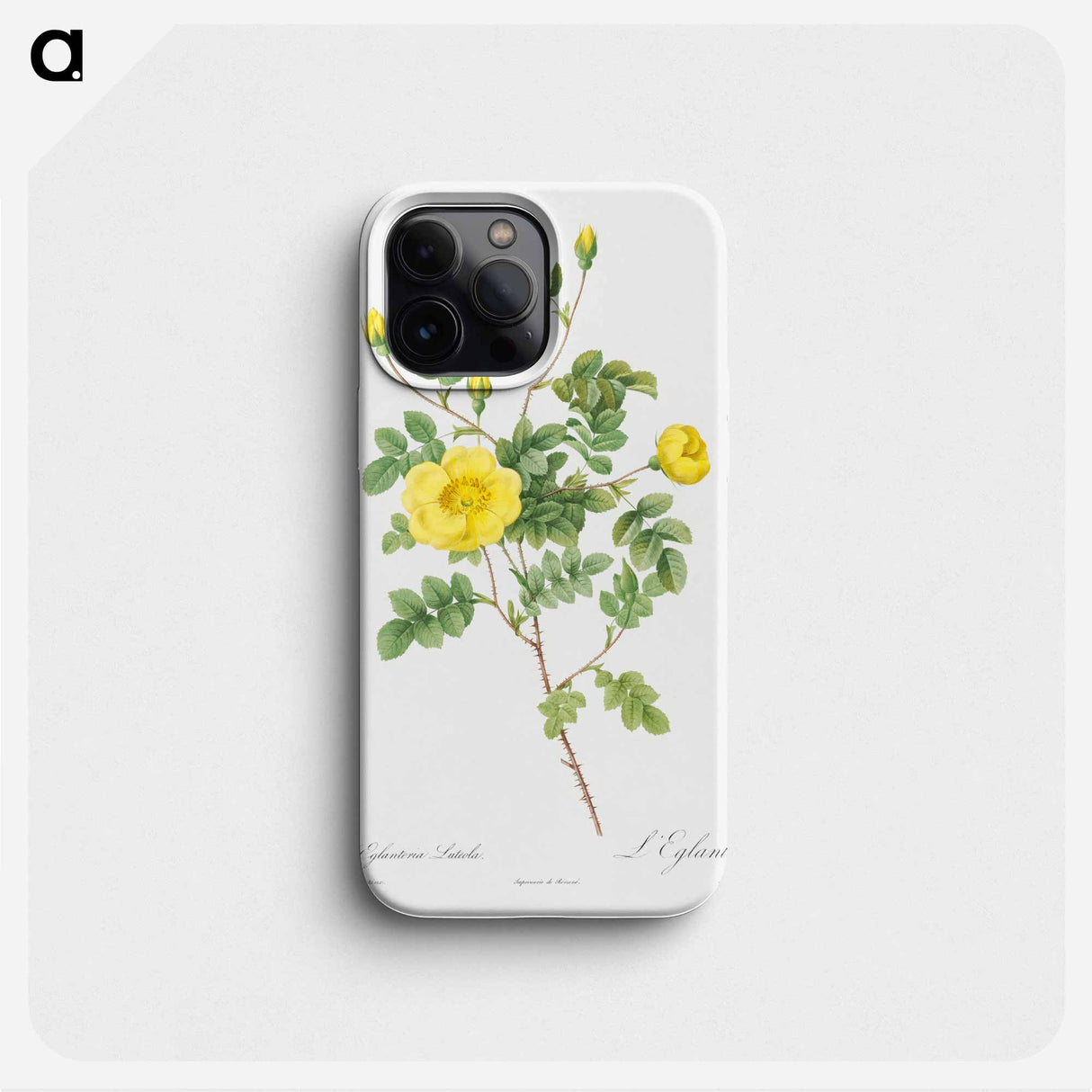 Sweetbriar Rose - ピエール ジョゼフ ルドゥーテ Phone Case.