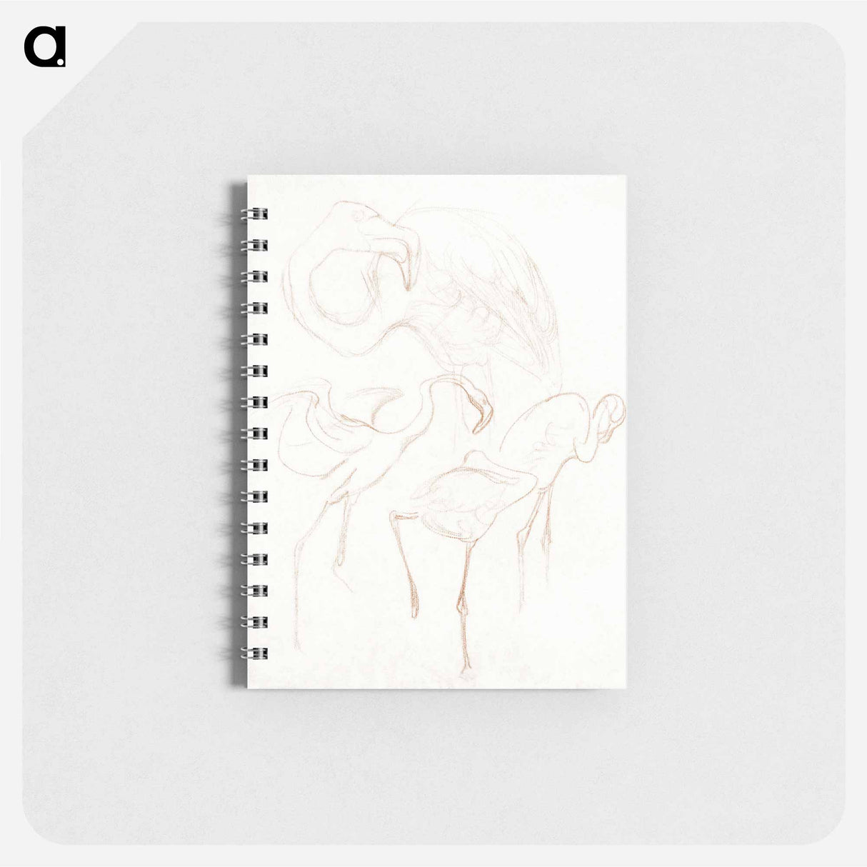 Studies van flamingo's - テオ ヴァン ホイテマ Memo.