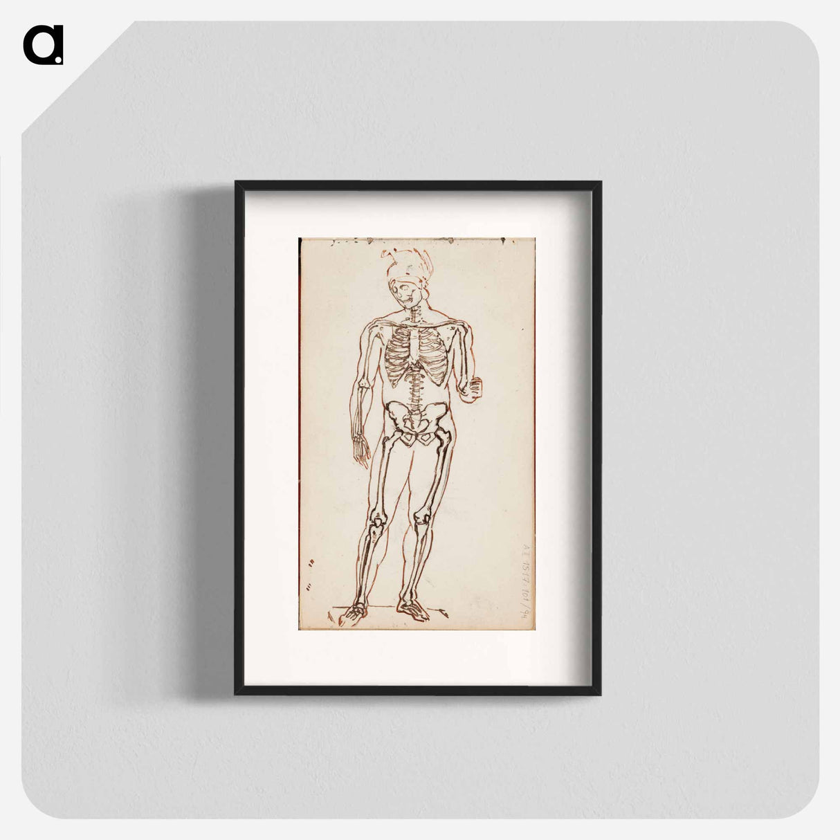 Ares borghese luurankotutkielmana - アルバート エーデルフェルト Poster.