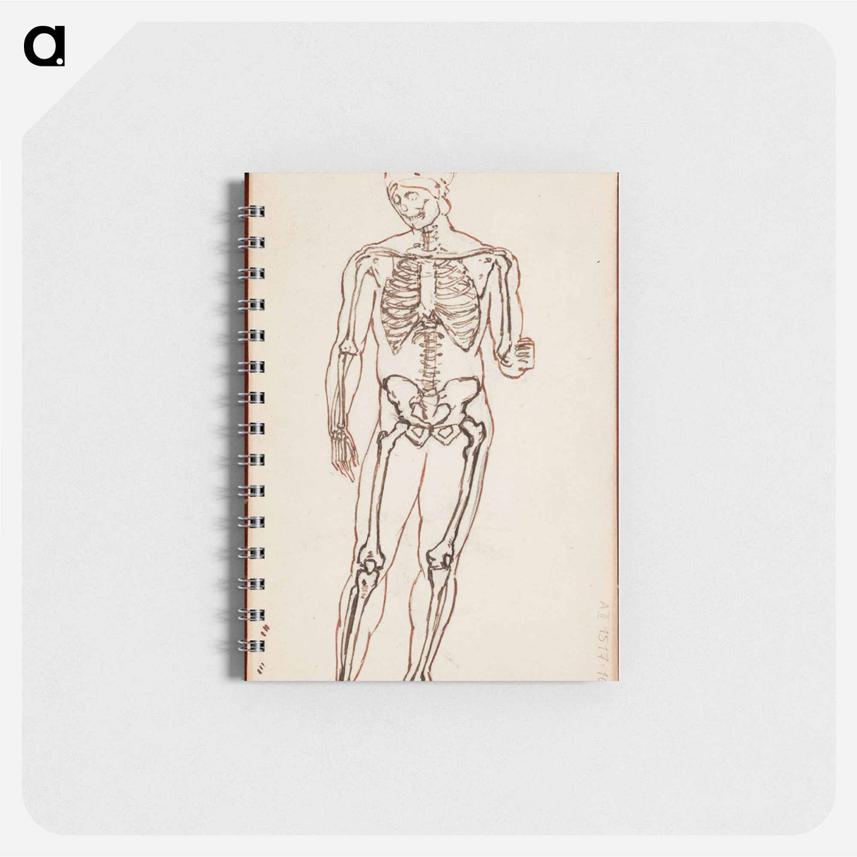 Ares borghese luurankotutkielmana - アルバート エーデルフェルト Memo.