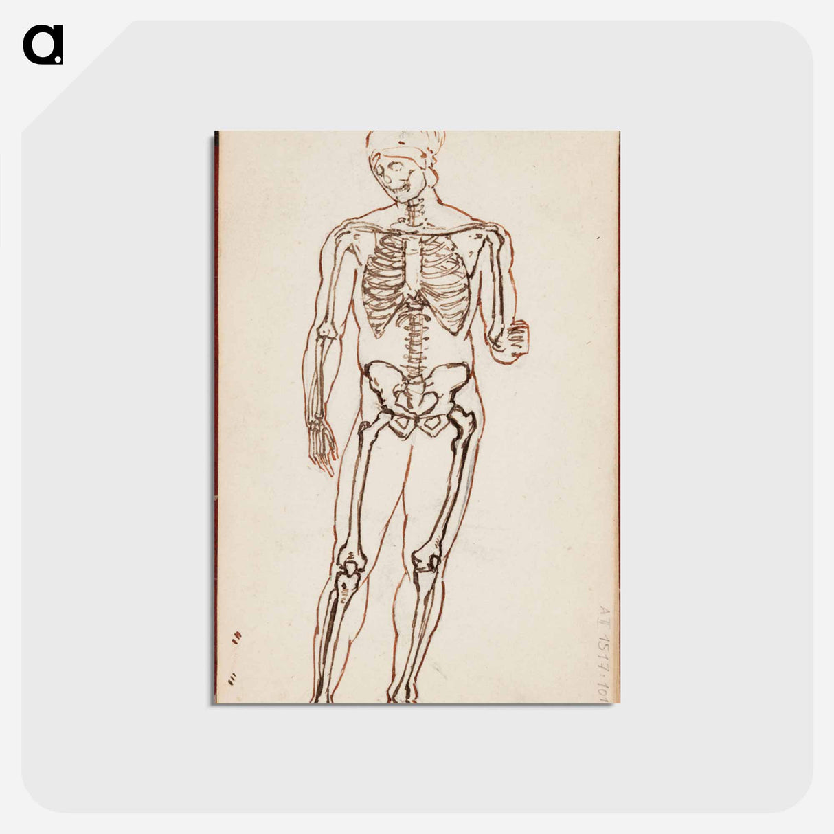 Ares borghese luurankotutkielmana - アルバート エーデルフェルト Postcard.