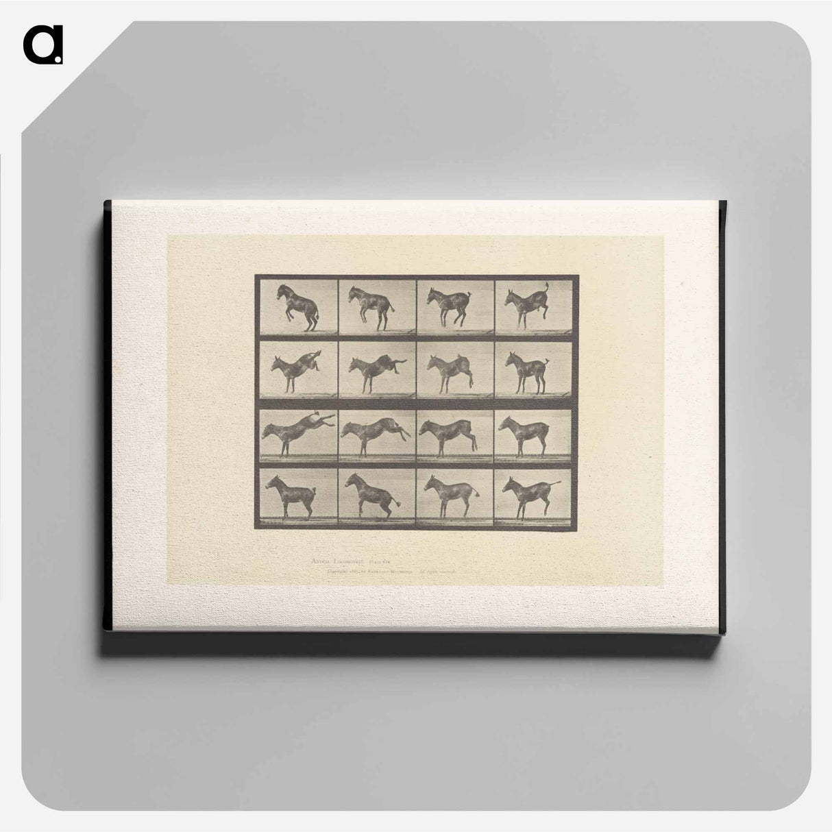 アートパネル-Bucking Horse
- エドワード マイブリッジ Canvas.