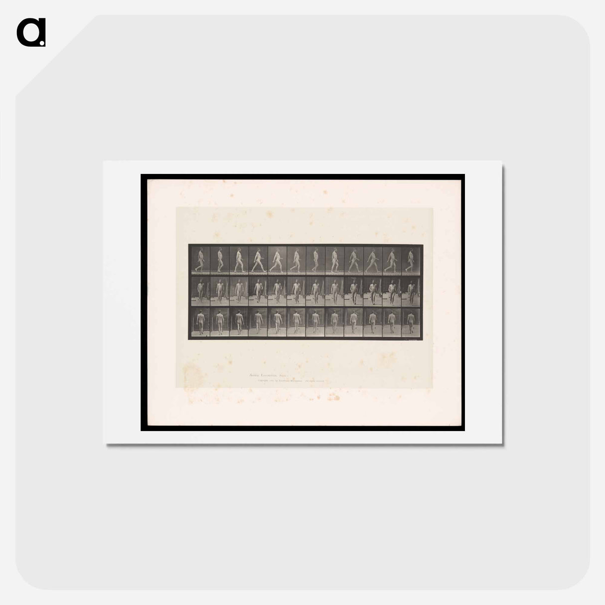 アートポストカード-Naked Man Walking
- エドワード マイブリッジ Postcard.