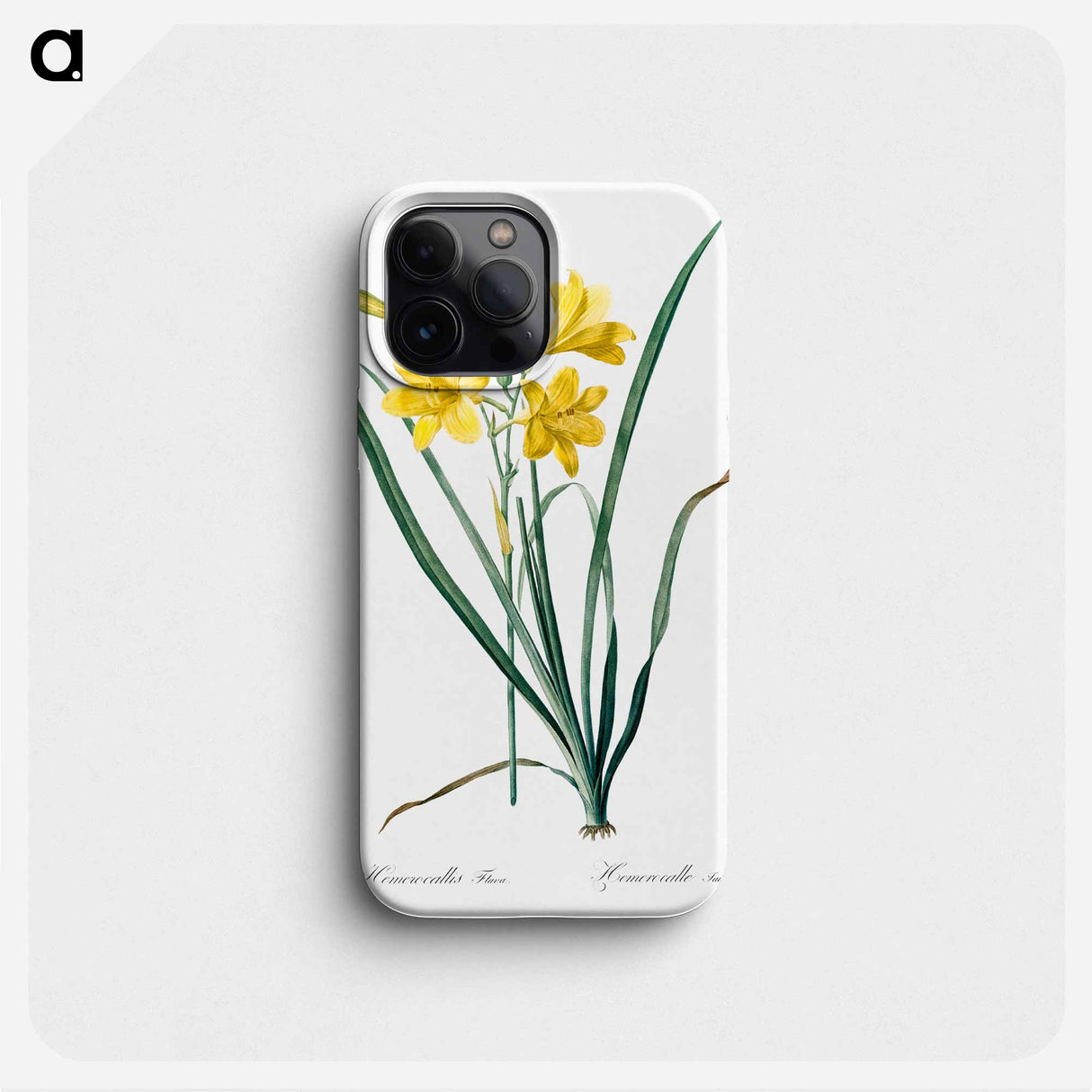 Day lily illustration - ピエール ジョゼフ ルドゥーテ Phone Case.