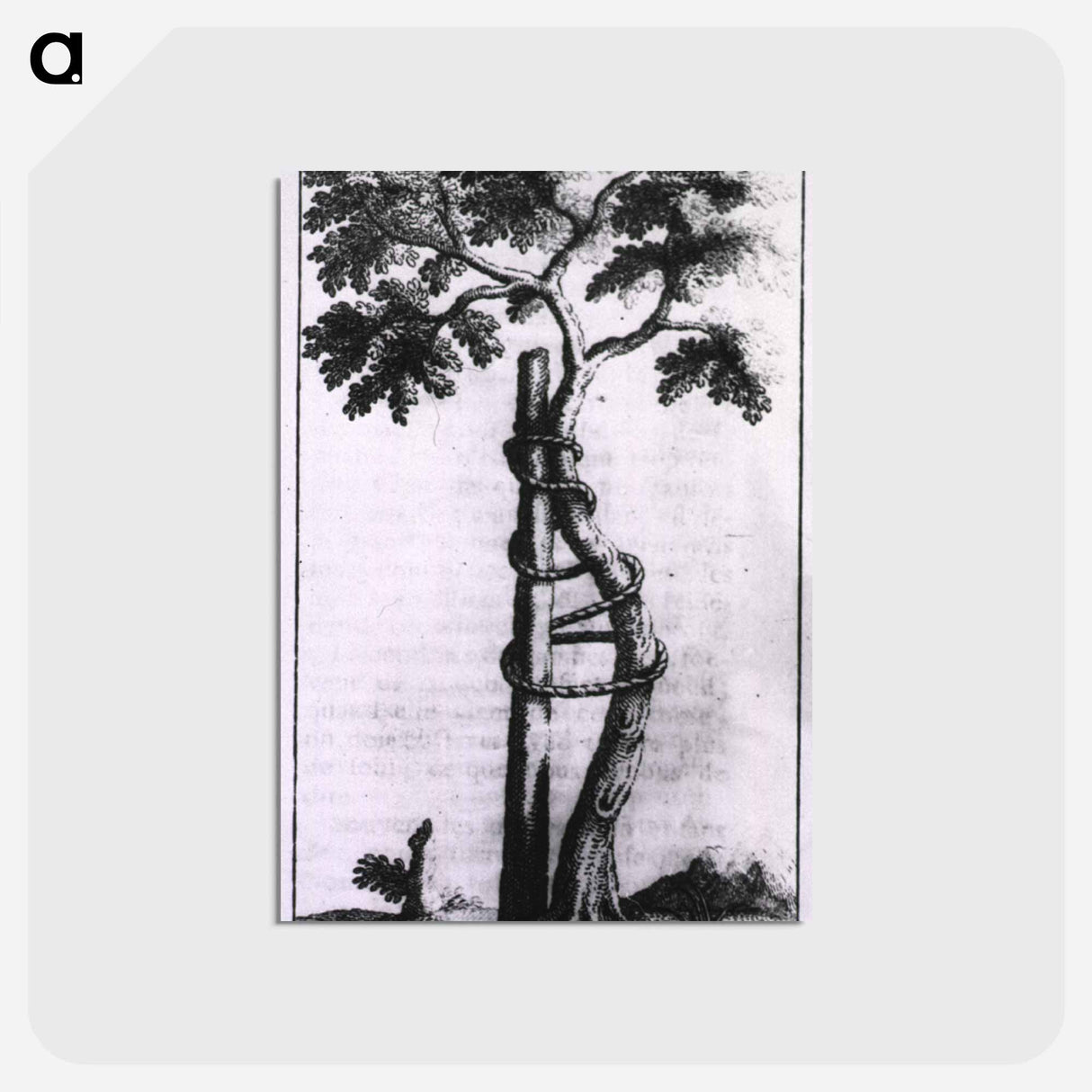 アートポストカード-Allegory of Orthopedic Correction
- 国立医学図書館 Postcard.