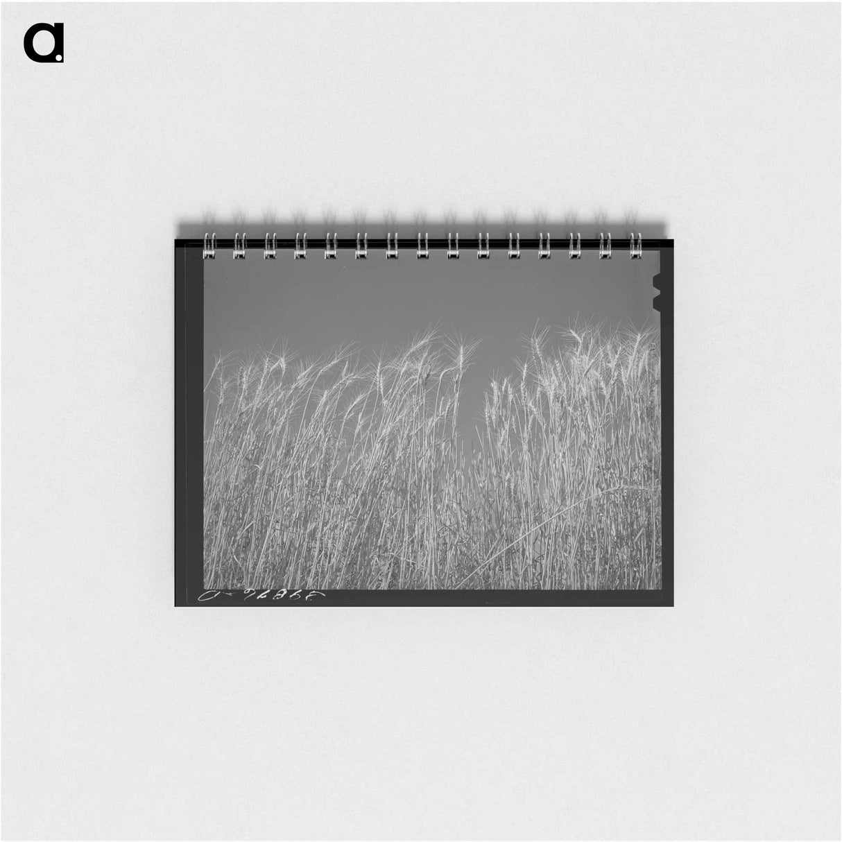 アートメモ帳-Sheep, Malheur County, Oregon
- ラッセル リー Memo.