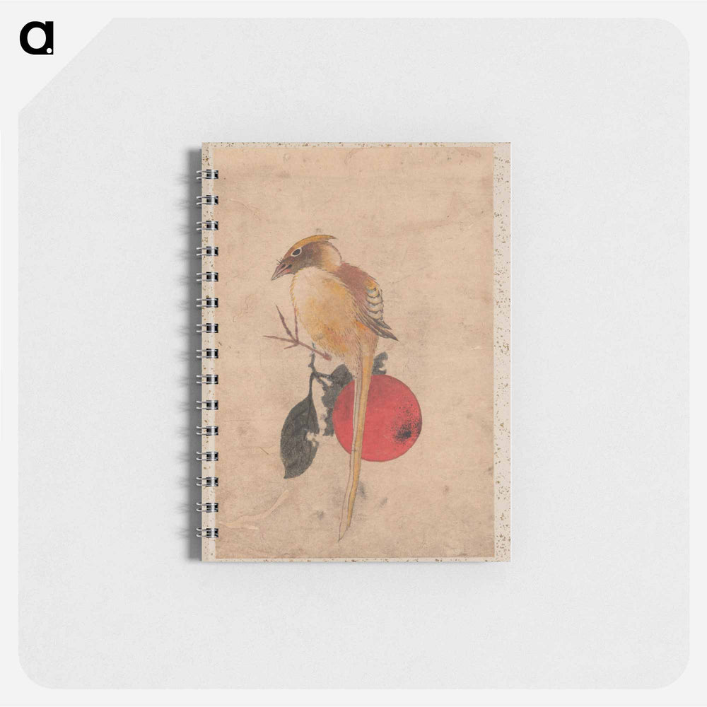 Album of Sketches by Katsushika Hokusai and His Disciples - 葛飾 北斎 Memo.