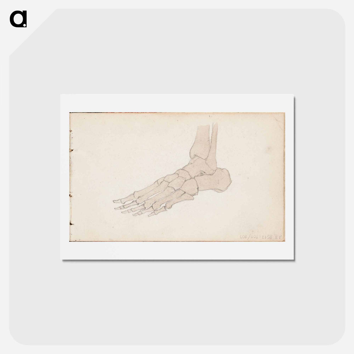 (unknown) part of a sketchbook - アルバート エーデルフェルト Postcard.