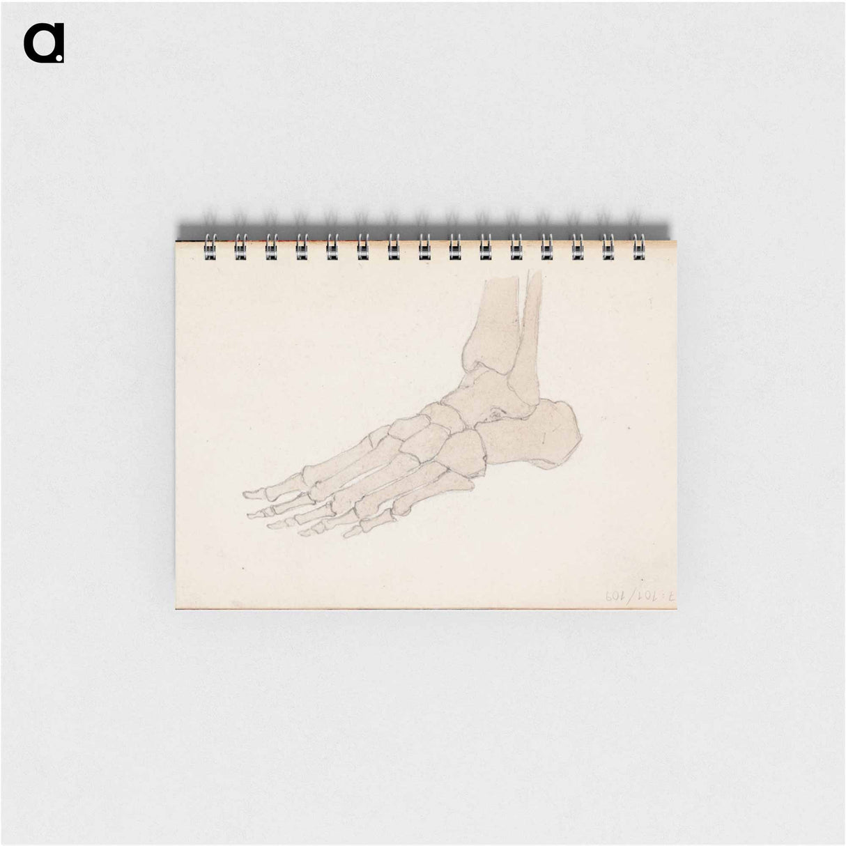 アートメモ帳-(unknown) part of a sketchbook - アルバート エーデルフェルト Memo.