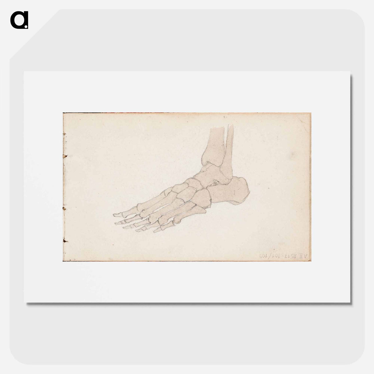 (unknown) part of a sketchbook - アルバート エーデルフェルト Poster.