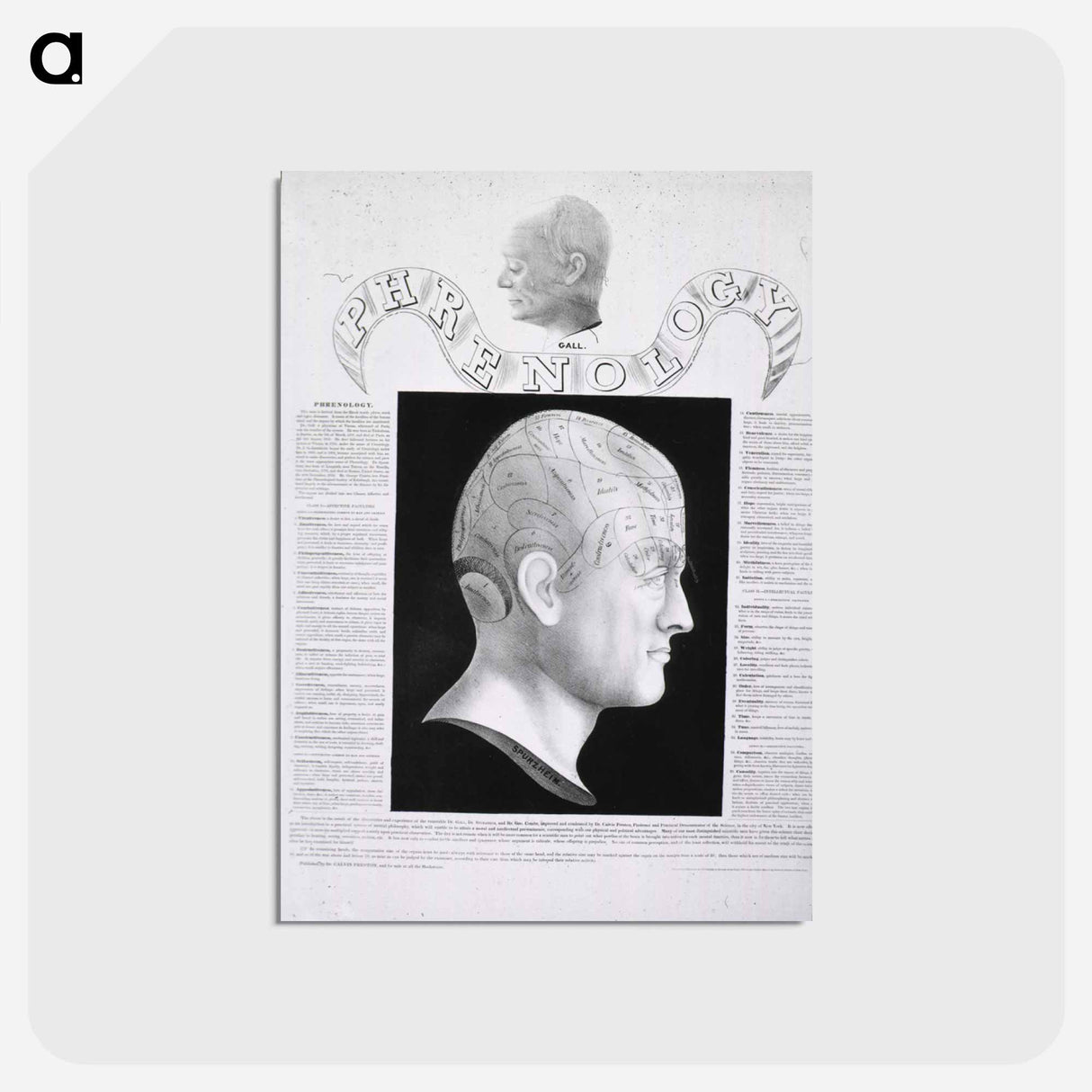 アートポストカード-Phrenological Study
- 国立医学図書館 Postcard.