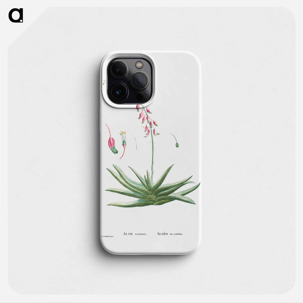 Aloe Carinata (Gasteria Carinata) - ピエール ジョゼフ ルドゥーテ Phone Case.