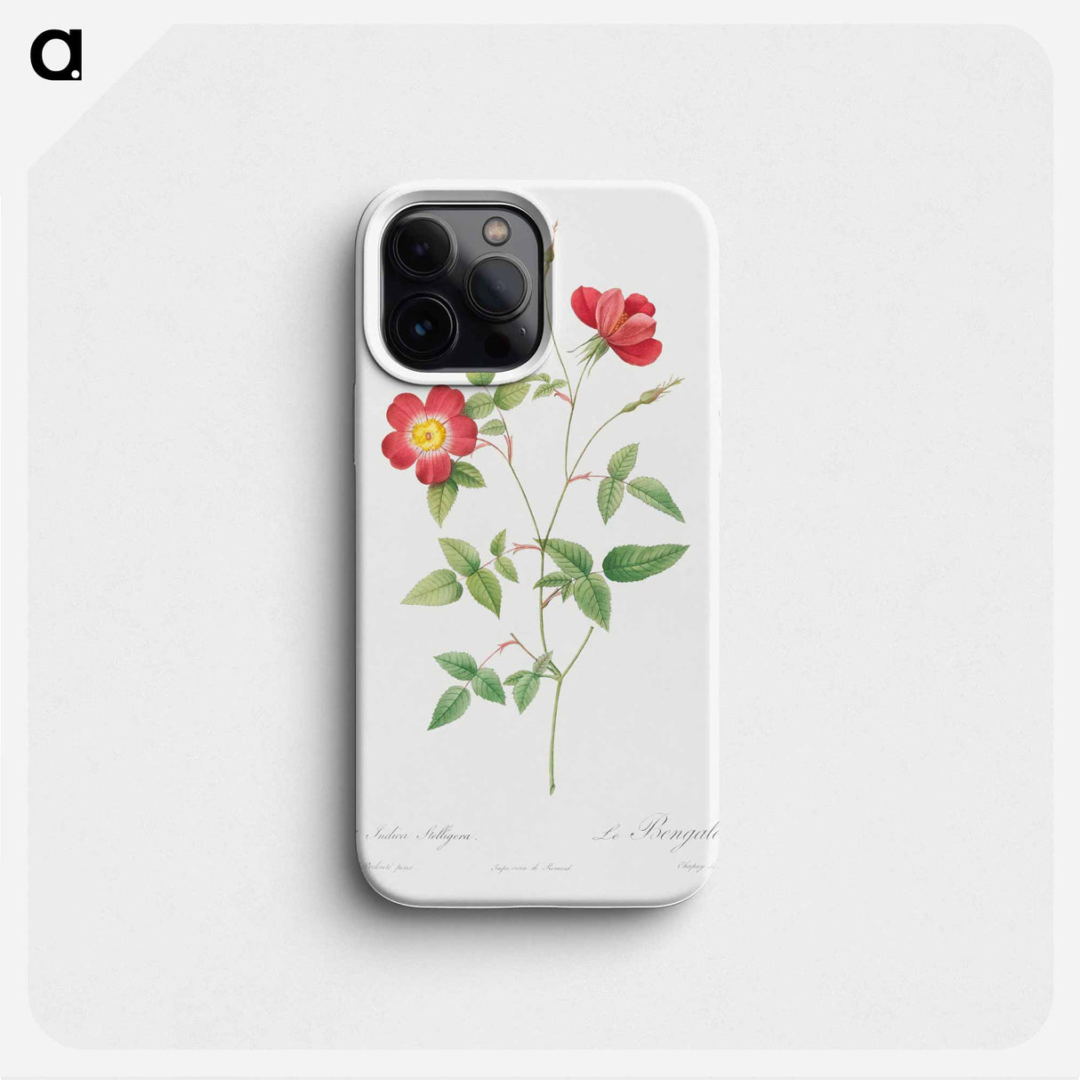Rose Indica Stelligera - ピエール ジョゼフ ルドゥーテ Phone Case.