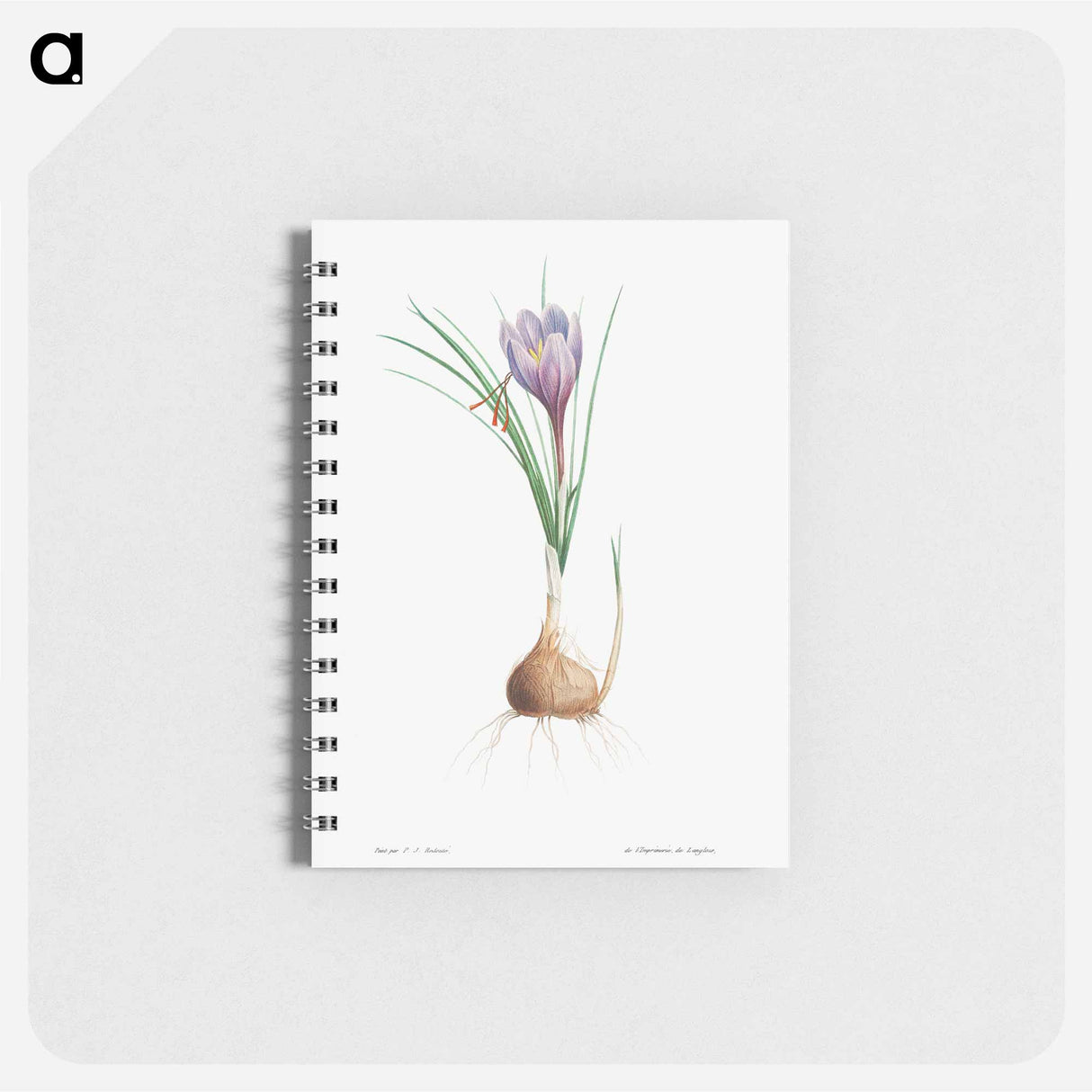 アートメモ帳-Blue Dutch iris - ピエール ジョゼフ ルドゥーテ Memo.