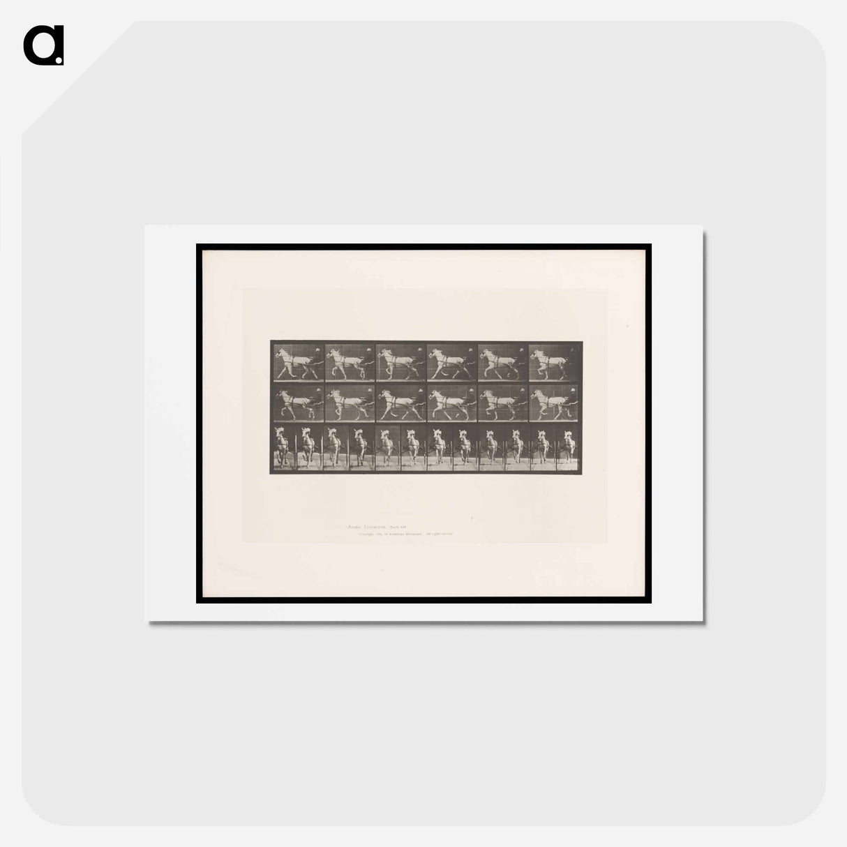 アートポストカード-Sulky Driver
- エドワード マイブリッジ Postcard.