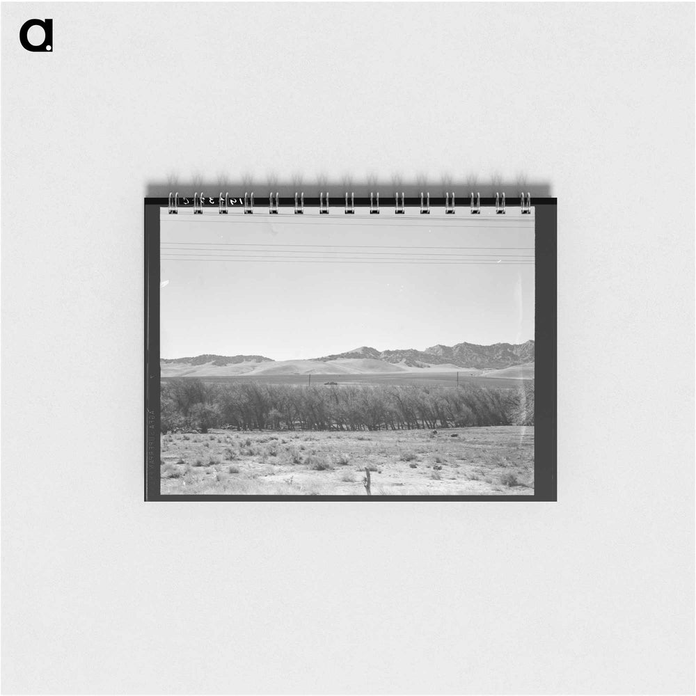 Untitled photo - ドロテア ラング Memo.