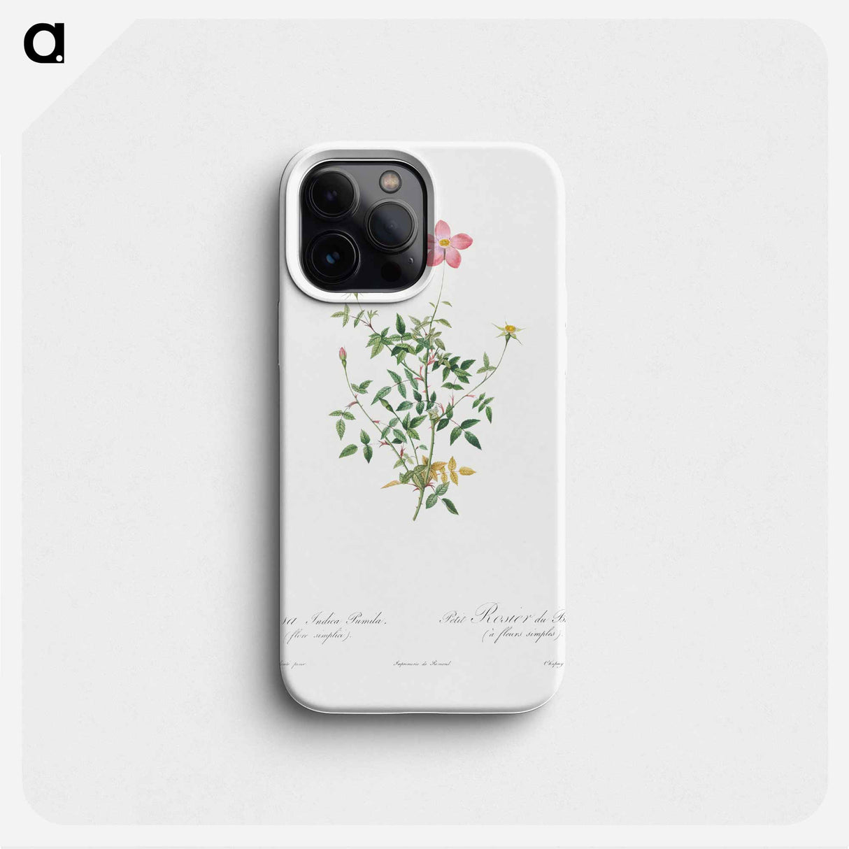 Single Dwarf China Rose - ピエール ジョゼフ ルドゥーテ Phone Case.