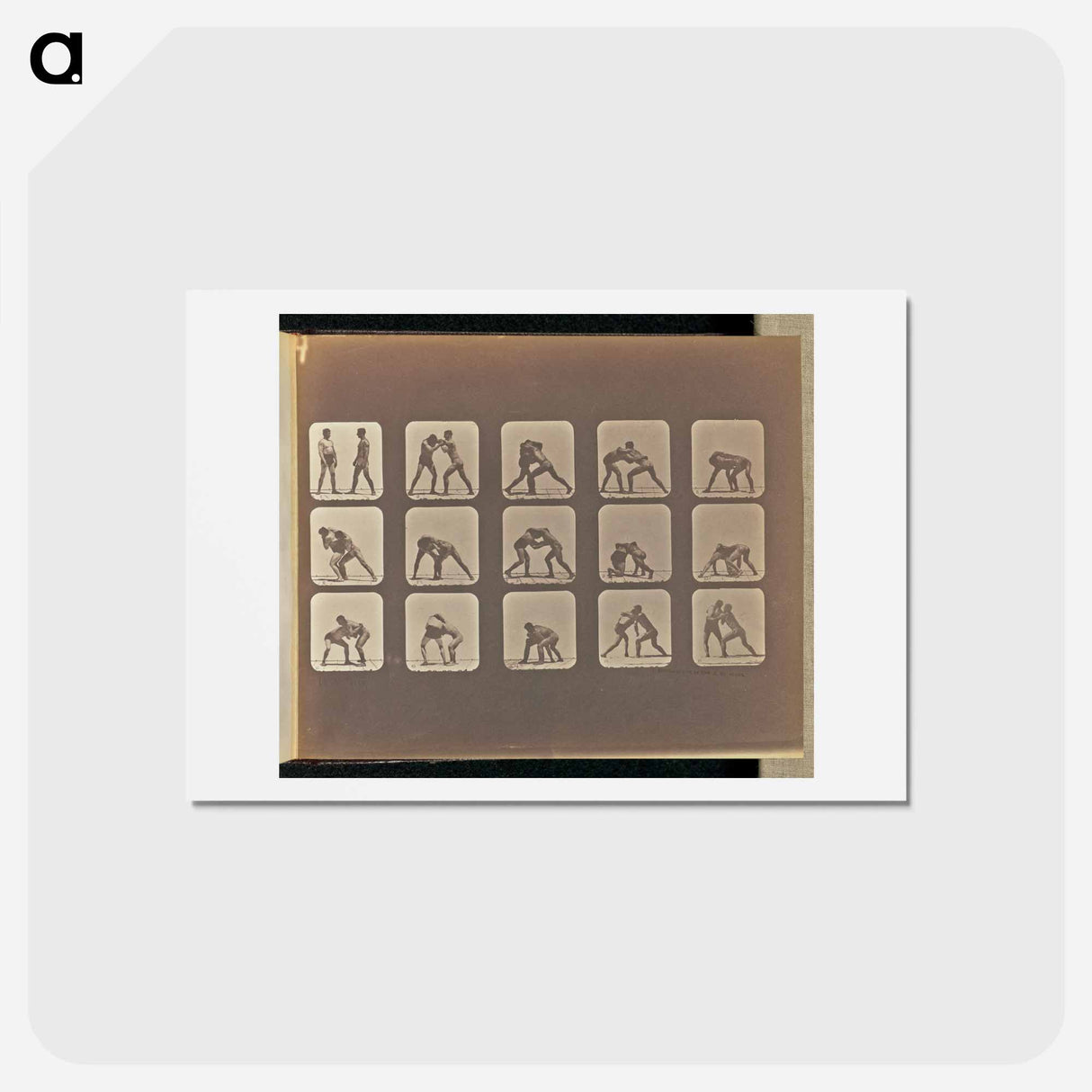 アートポストカード-Wrestling
- エドワード マイブリッジ Postcard.