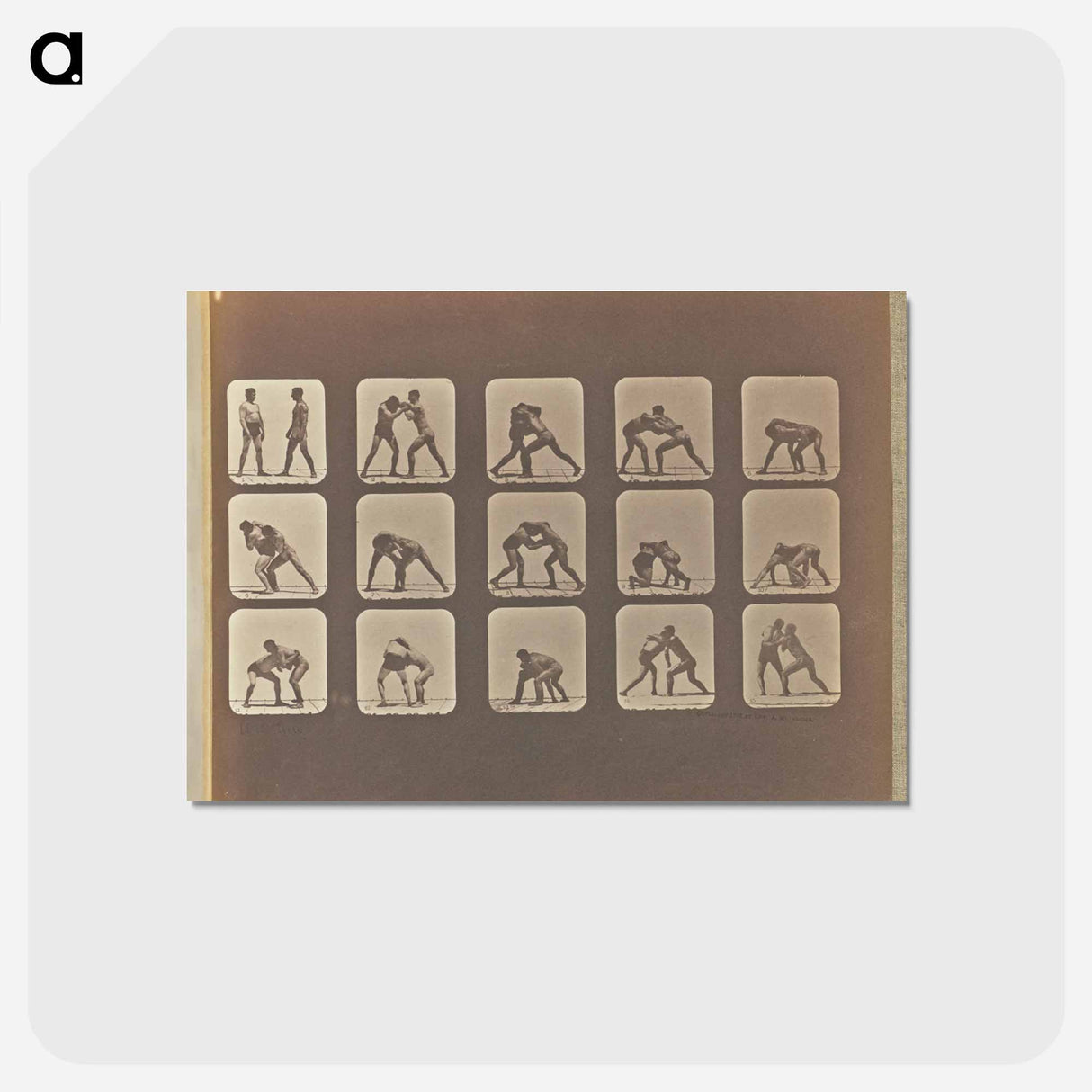 アートポストカード-Wrestling
- エドワード マイブリッジ Postcard.