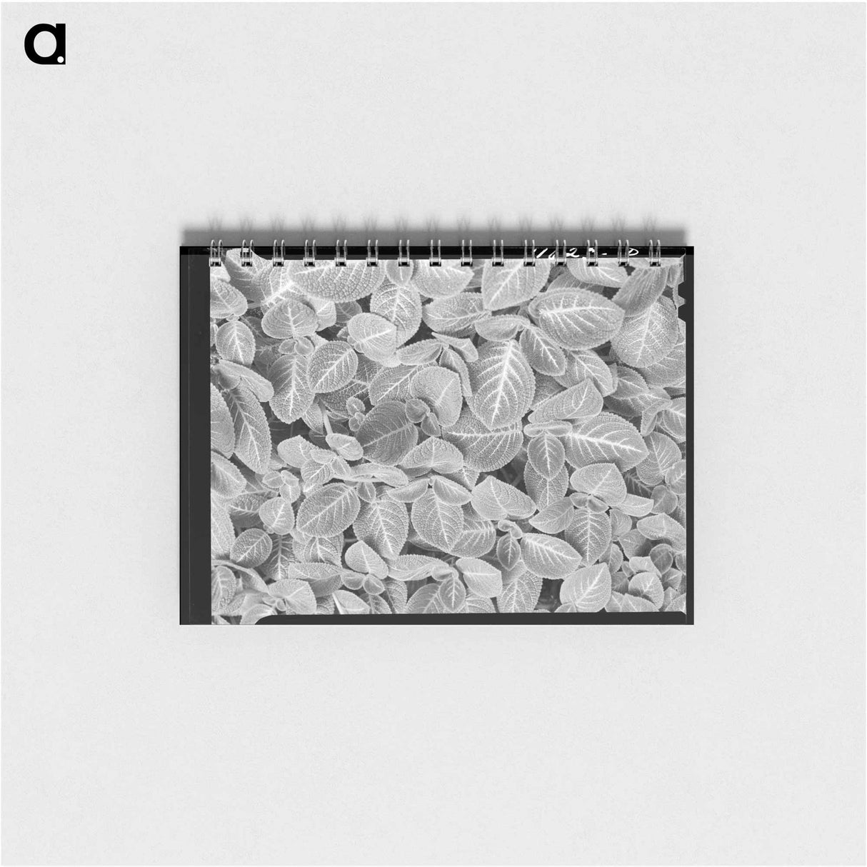 アートメモ帳-Post Office, Des Lacs
- ラッセル リー Memo.